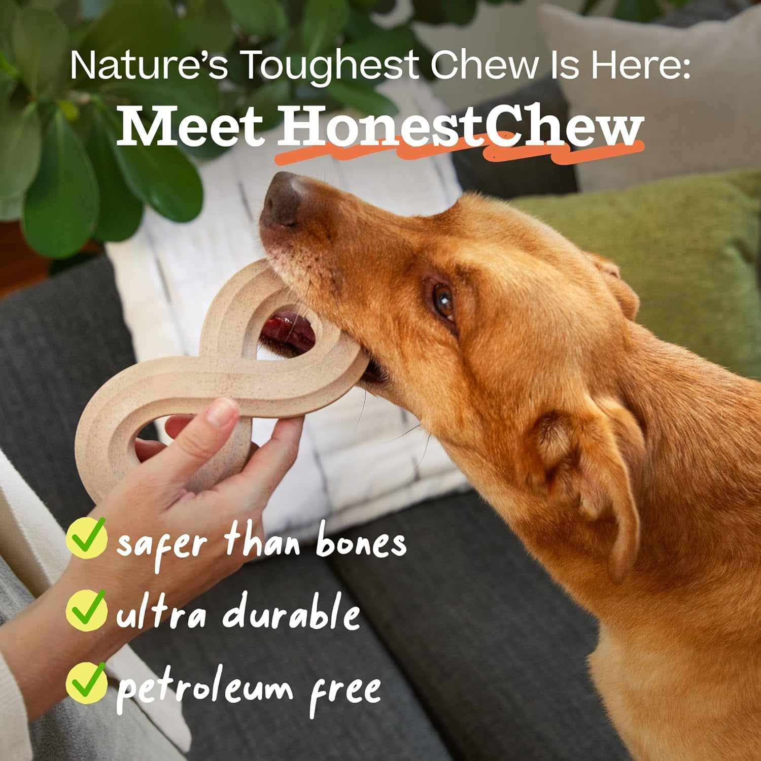 Honestchew Dog Toy Infinity - Durable Dog Chews - Made with Natural, Plant-Based Ingredients - Splinter-Resistant - Safer than Dog Bones - Medium