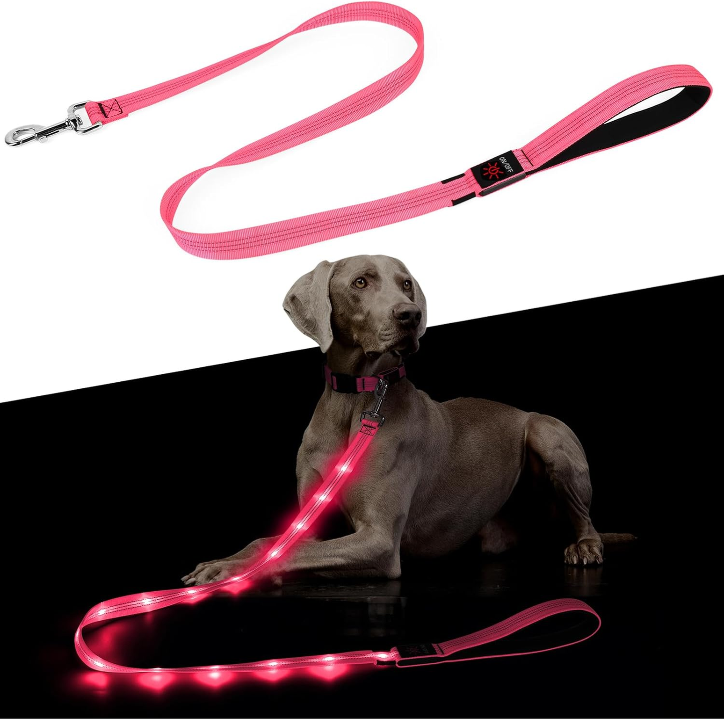 Light up Dog Leash - 5 Ft LED Pet Leash Rechargeable Glow in the Dark Dog Rope Safety Dog Lights for Night Walking
