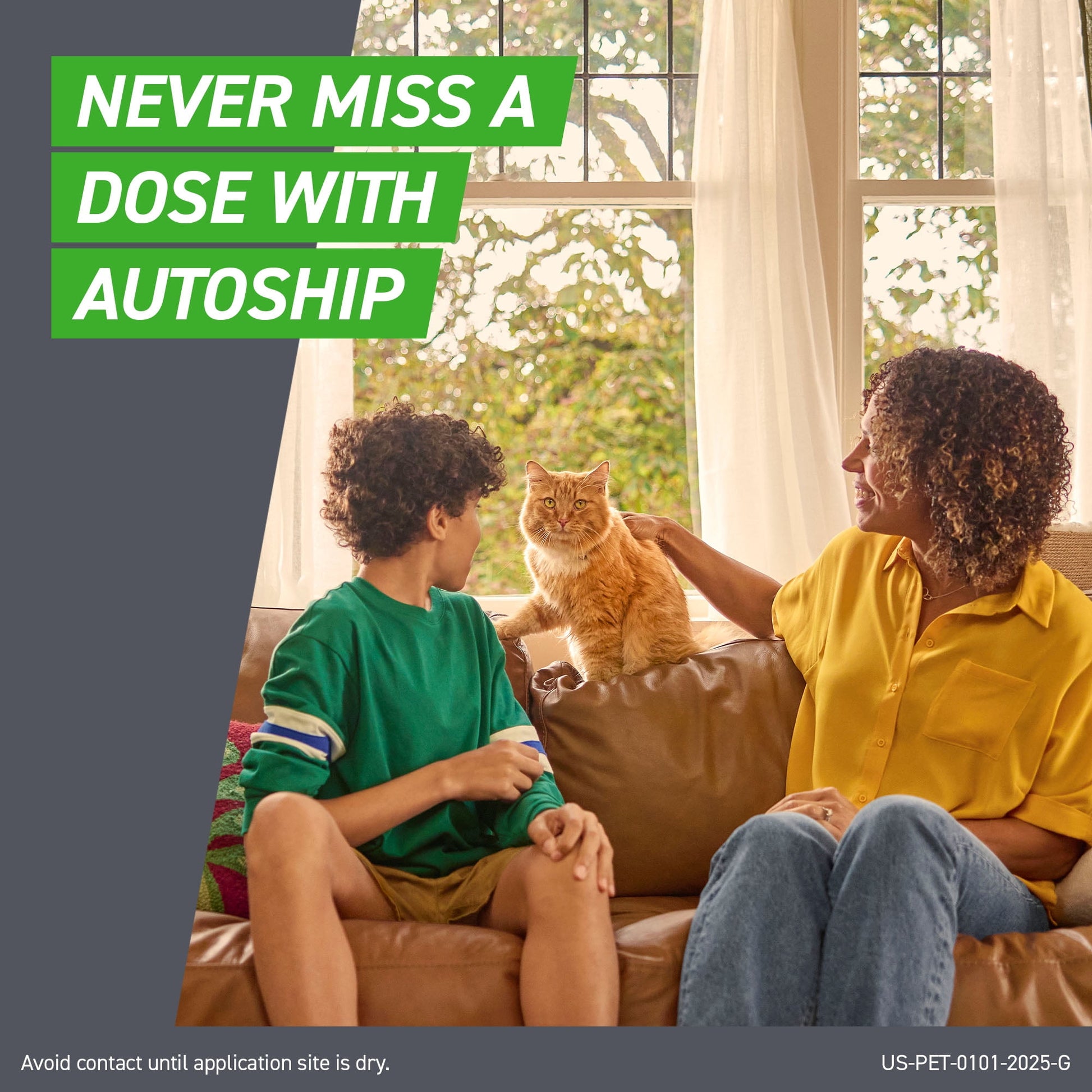 plus for Cat & Kitten Flea & Tick Spot Treatment, 3 Count