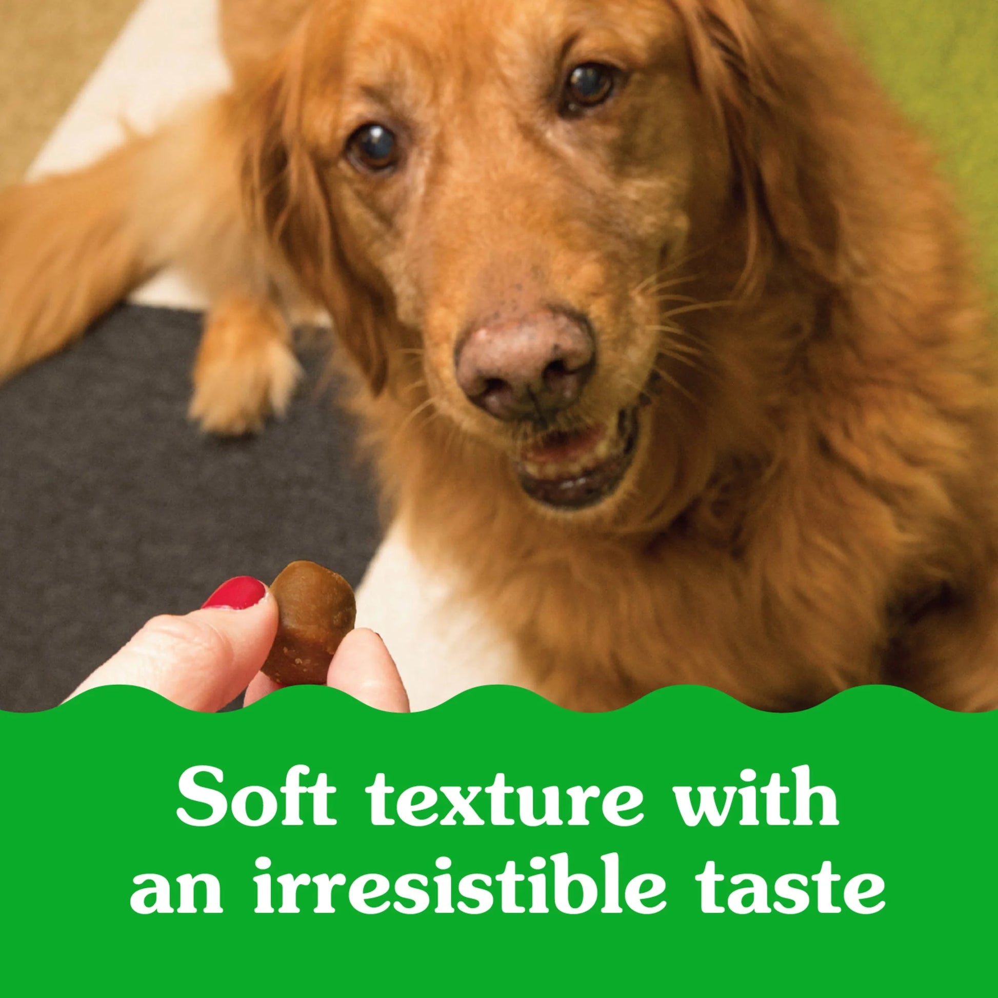 Greenies Pill Pockets for Dogs, Peanut Butter Flavor, Large, 60 Ct.