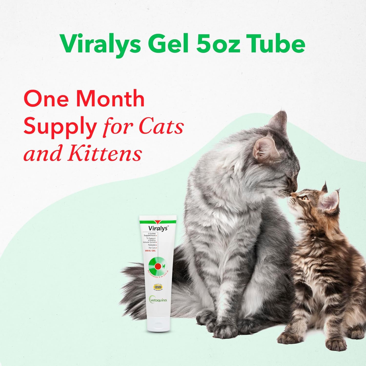 Viralys Daily L-Lysine Gel for Cats and Kittens, Maple Flavored Lysine Supplement for Cats and Kittens to Support Immune Health, Normal Eye Function and Respiratory Health, 5Oz