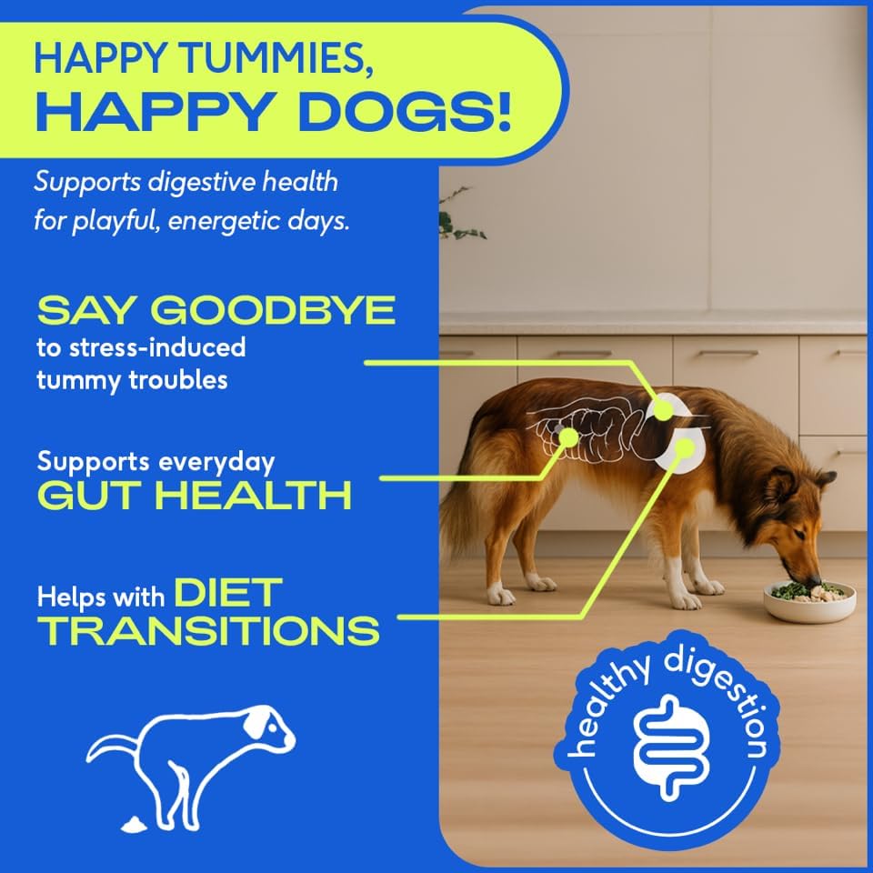 Probiotics for Dogs - Dog Probiotics Powder for Digestive Health, Gut Support, & Immune Boost – Vet-Formulated Powder for Maximum Potency with Digestive Enzymes & Prebiotics - 30 Scoops