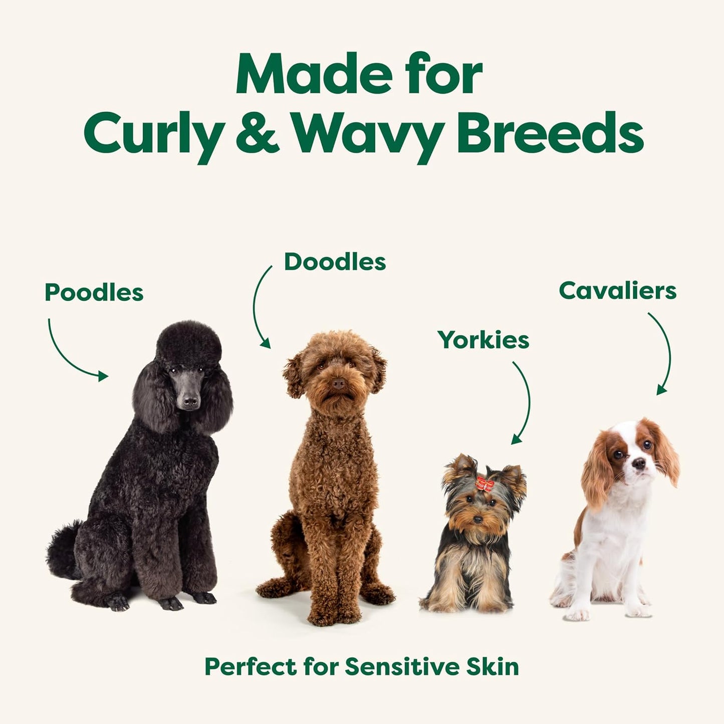 3-In-1 Detangling Dog Shampoo and Conditioner, Deodorizing Oatmeal Shampoos for Dogs and Puppies, Great for Smelly Pets, White Tea and Basil Scent, 16 Oz