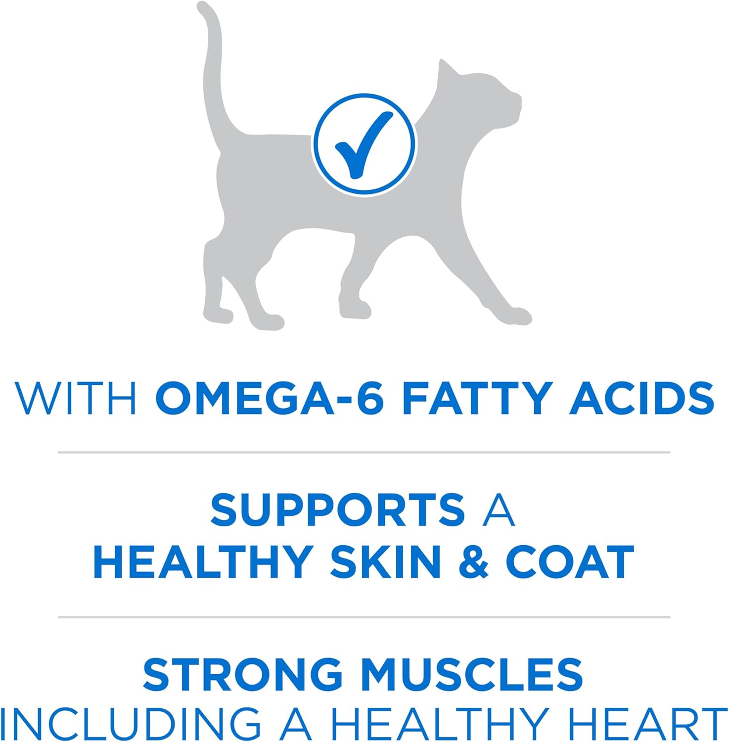 plus High Protein Cat Food Dry Salmon and Ocean Whitefish Cat Skin and Coat Health Formula - 16 Lb. Bag