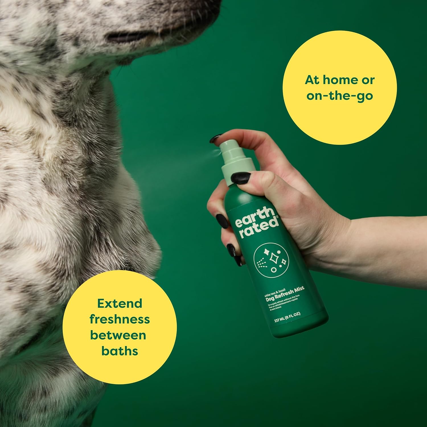 Dog Deodorizing Conditioner Spray, for All Coat Types, Refreshing White Tea & Basil Scent, 8 Oz