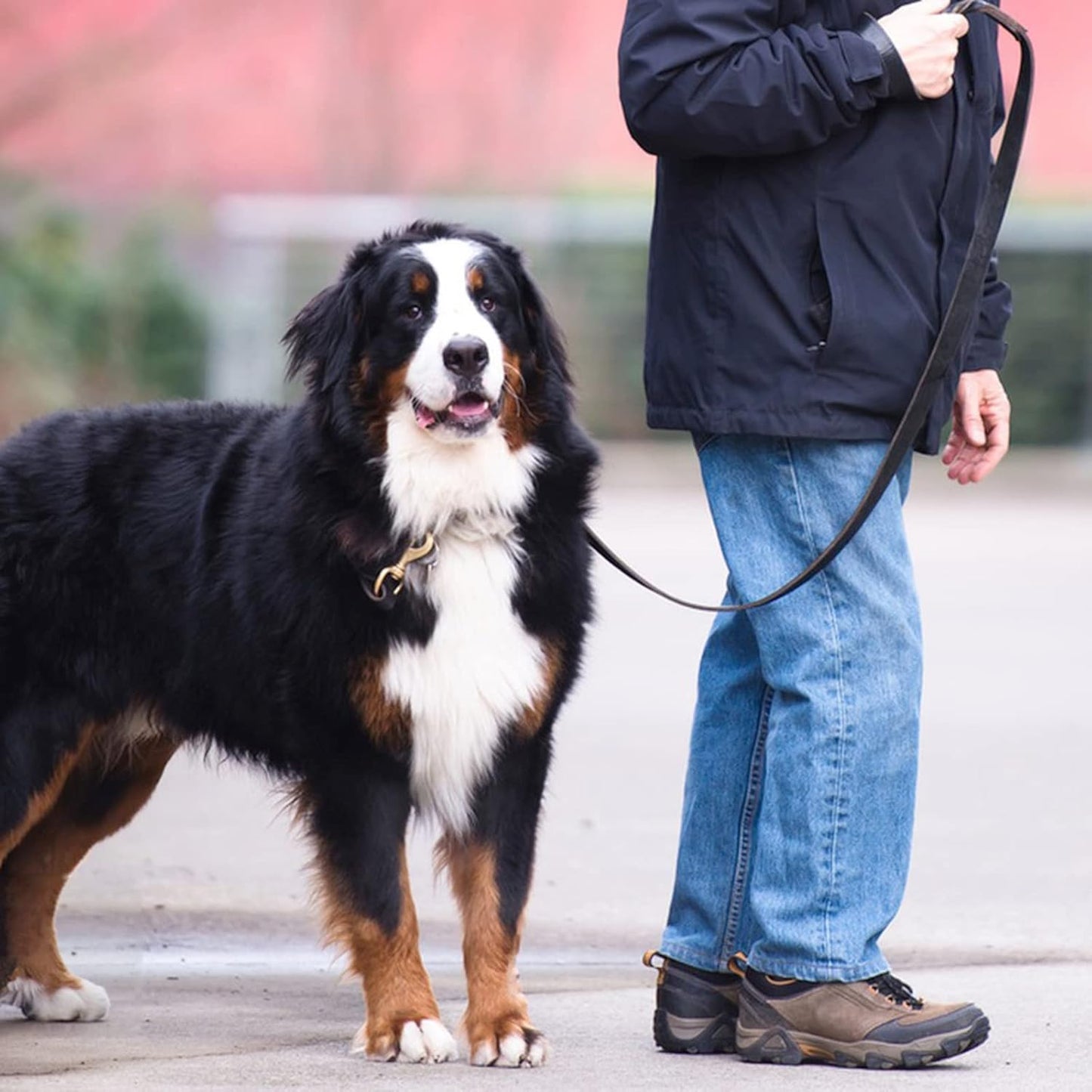 Leather Dog Leash 6Ft X 3/4 Inch,Strong Heavy Duty Genuine Leather Braided Dog Training Leash, Soft and Comfortable Leather Leash for Large Dogs, Medium Small Dogs (Brown, 6Ft*3/4In)