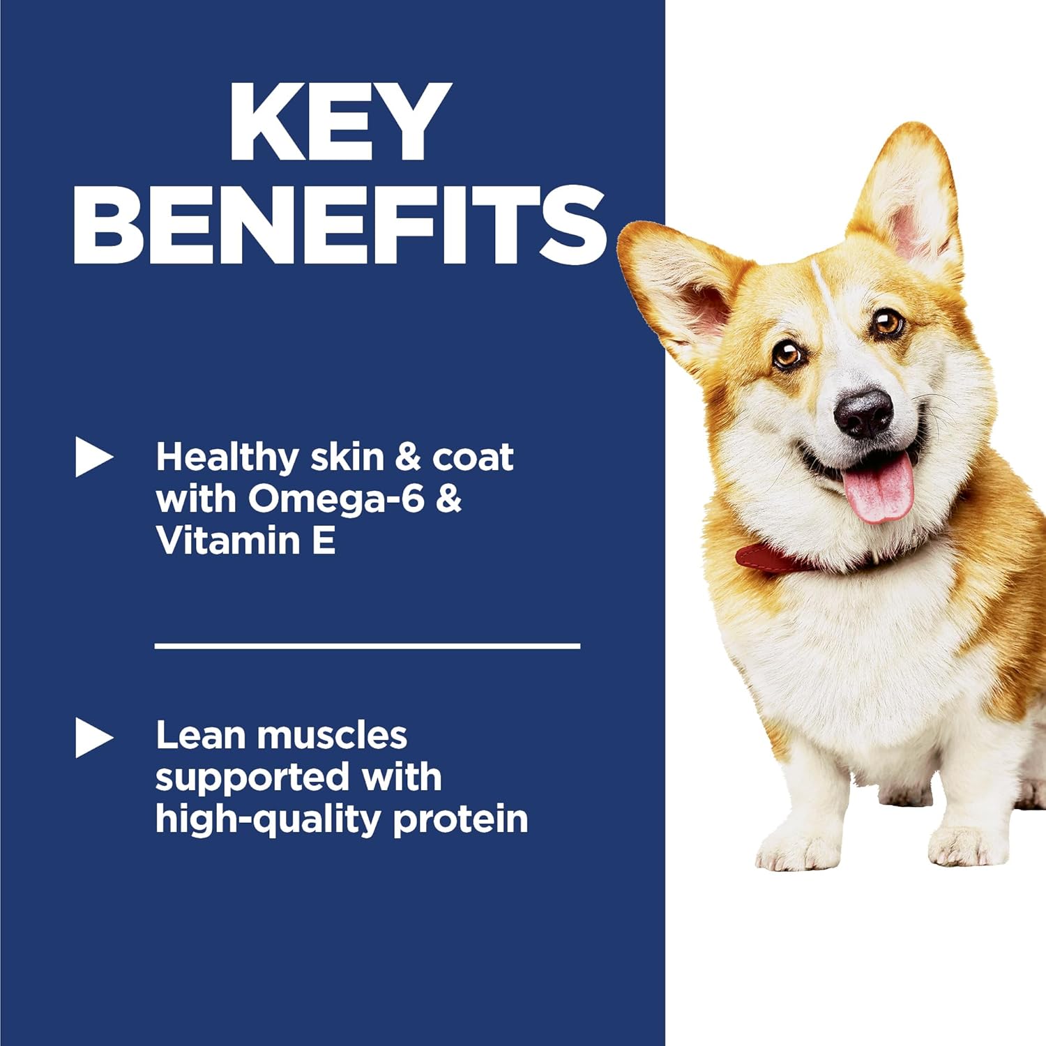 Adult 1-6, Adult 1-6 Premium Nutrition, Small Kibble, Dry Dog Food, Chicken & Barley, 15 Lb Bag