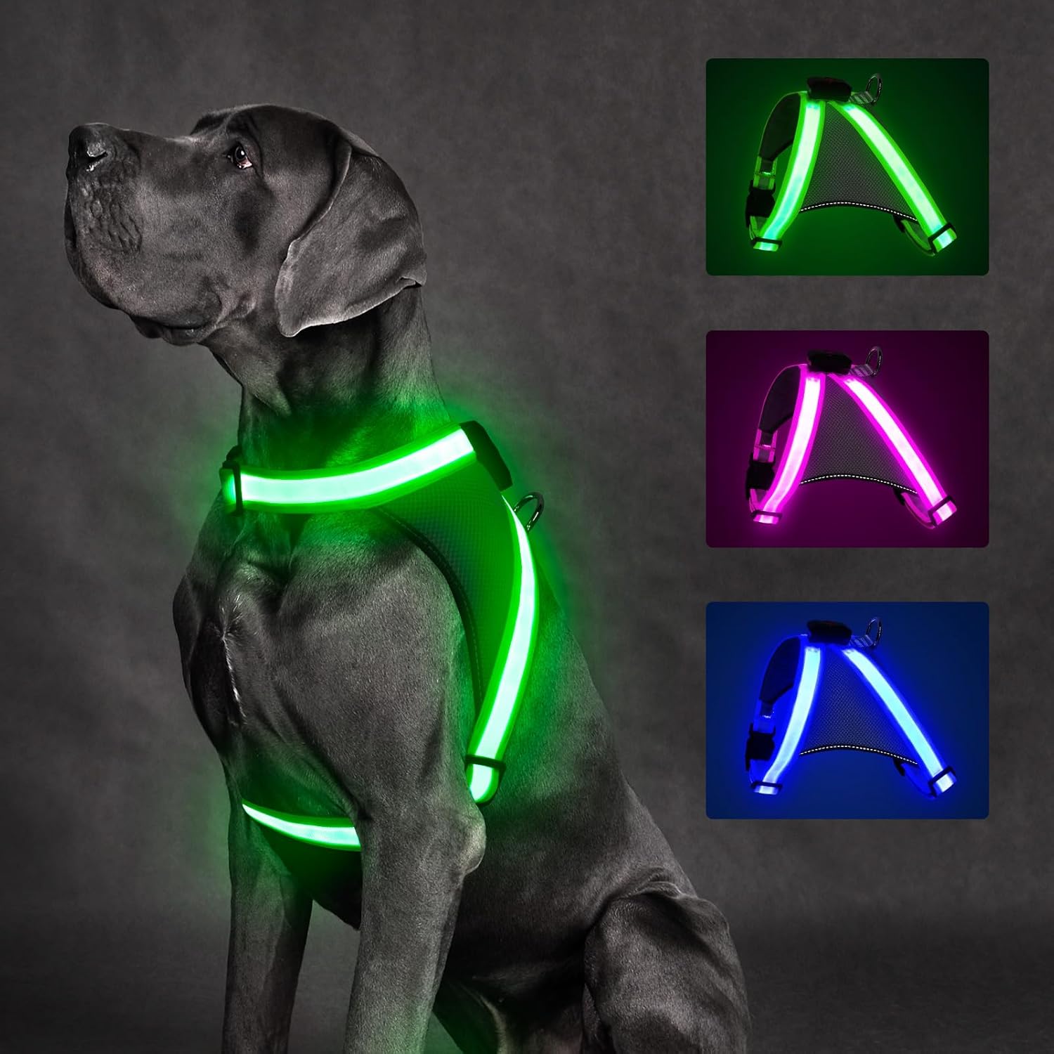 Light up Dog Harness, No Pull Led Dog Harness Glow-In-The-Dark for Night Walking, USB Rechargeable Lighted Safety Vest for Small Dogs, Adjustable Soft Mesh Fully Illuminated (Green, Small)