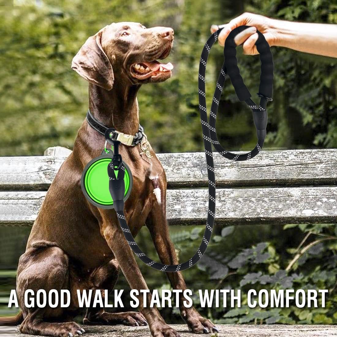 2 Pack Dog Leash 6 FT Heavy Duty - Comfortable Padded Handle - Reflective Dog Leash for Medium Large Dogs with Collapsible Pet Bowl Set 6-Black+Green