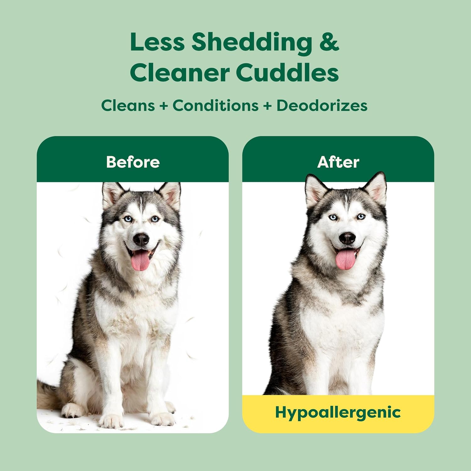 3-In-1 Deshedding Dog Shampoo and Conditioner, Deodorizing Oatmeal Shampoos for Dogs and Puppies, Great for Smelly Pets, White Tea and Basil Scent, 16 Oz