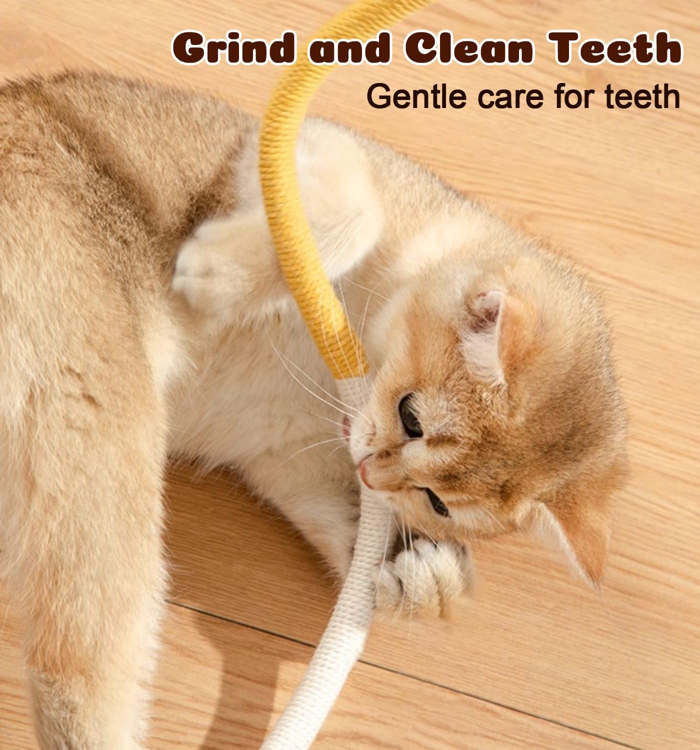 Cat Chew Ropes 4Pcs, Cat Toys for Indoor Cats with Refillable Natural Catnip, Safe Teeth Cleaning Chew Toys(19.5 Inches)