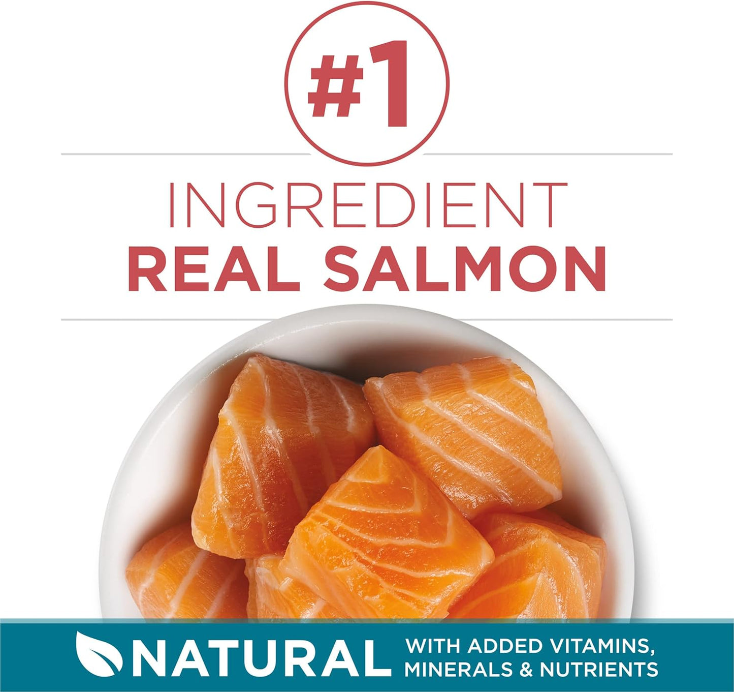 Natural Dry Cat Food, Tender Selects Blend with Real Salmon - 16 Lb. Bag