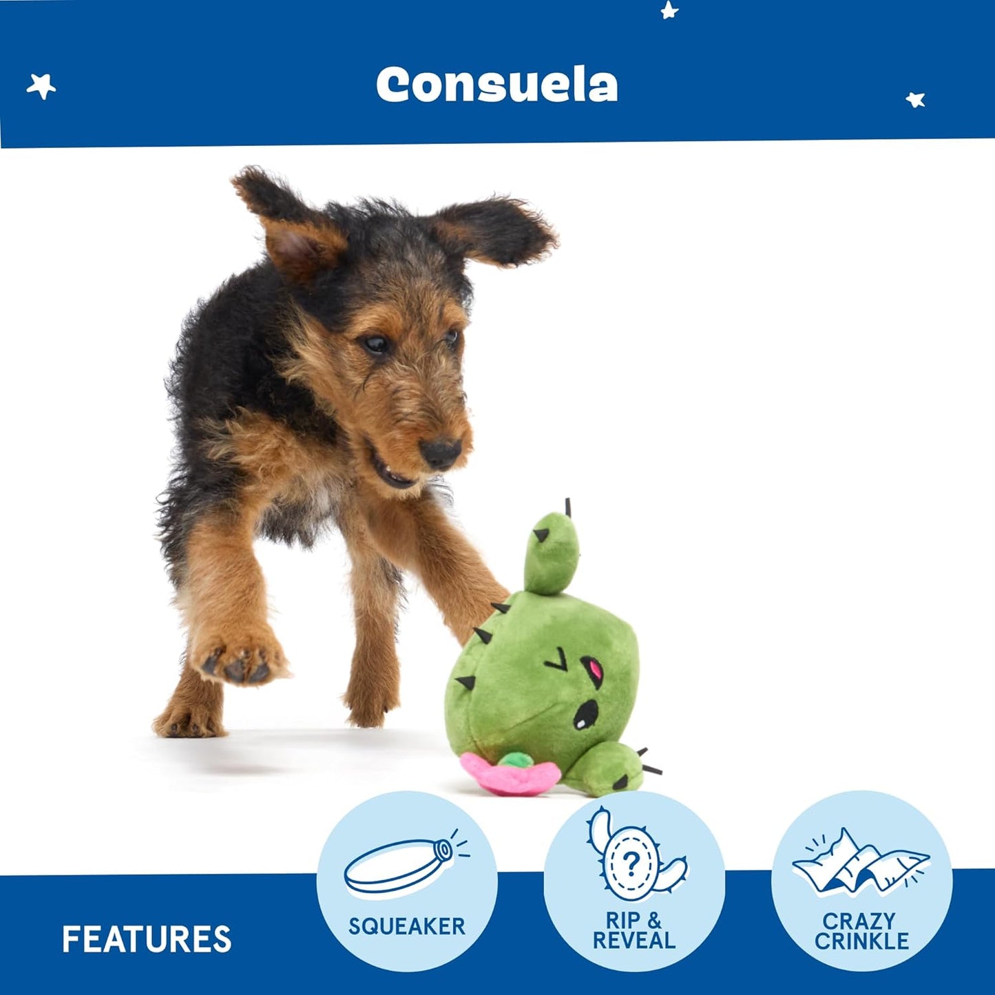 2 in 1 Interactive Plush Dog Toy - Rip and Reveal Toy for Dogs and Puppies - Stimulating Squeaky Pet Toys | Consuela Cactus (Small)