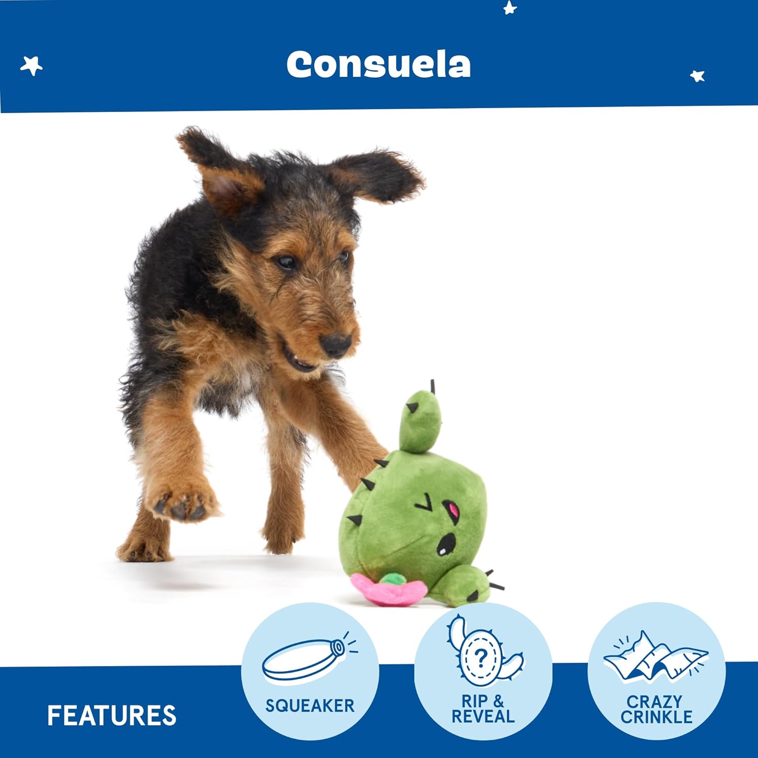 2 in 1 Interactive Plush Dog Toy - Rip and Reveal Toy for Dogs and Puppies - Stimulating Squeaky Pet Toys | Consuela Cactus (Small)