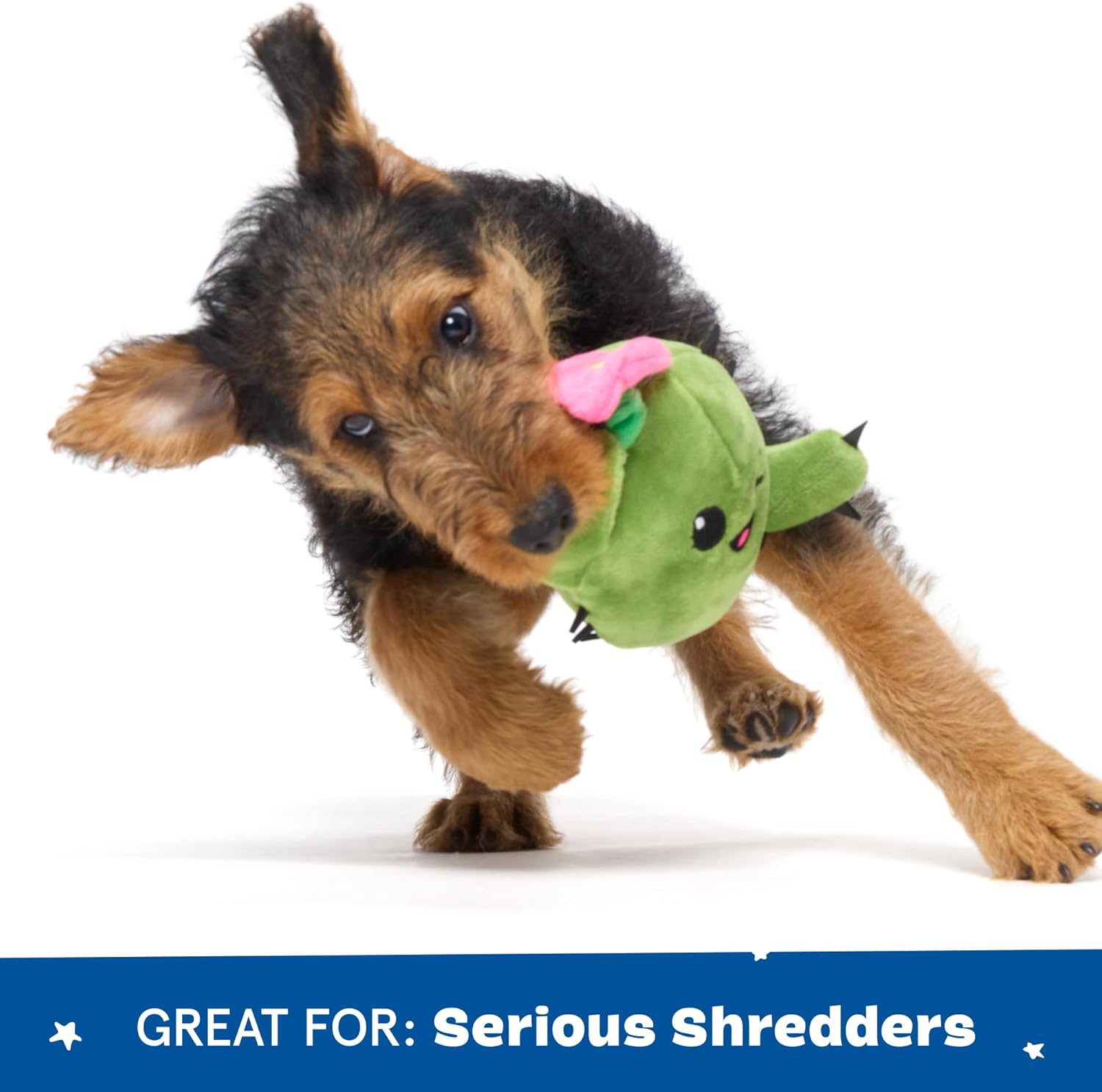 2 in 1 Interactive Plush Dog Toy - Rip and Reveal Toy for Dogs and Puppies - Stimulating Squeaky Pet Toys | Consuela Cactus (Small)