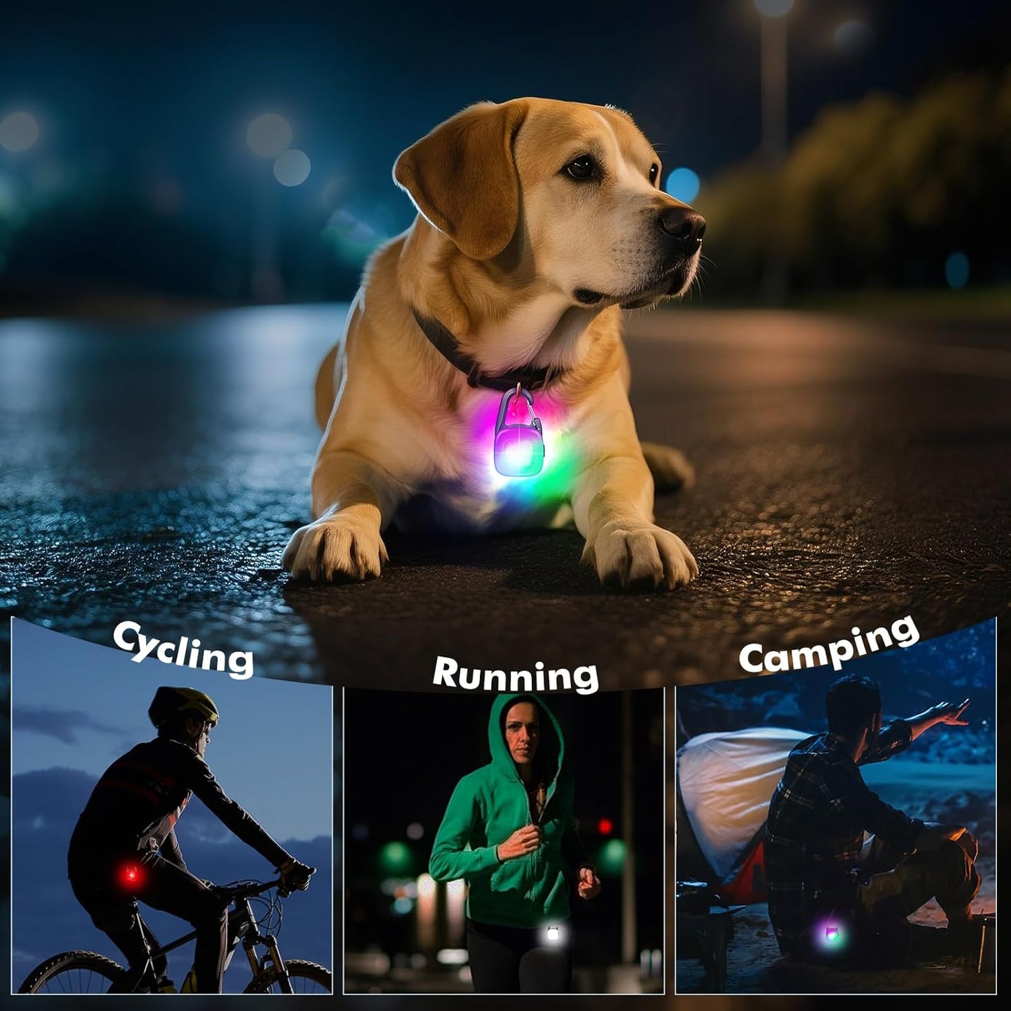 2 Pack LED Rechargeable Safety Dog Collar Light Clip with 4 Modes, Waterproof, Great for Night Walking