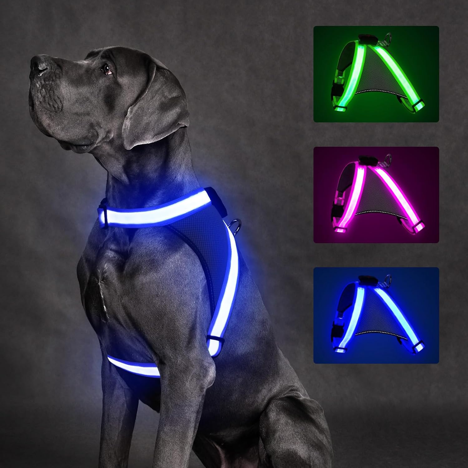 Light up Dog Harness, No Pull Led Dog Harness Glow-In-The-Dark for Night Walking, USB Rechargeable Lighted Safety Vest for Small Dogs, Adjustable Soft Mesh Fully Illuminated (Green, Small)