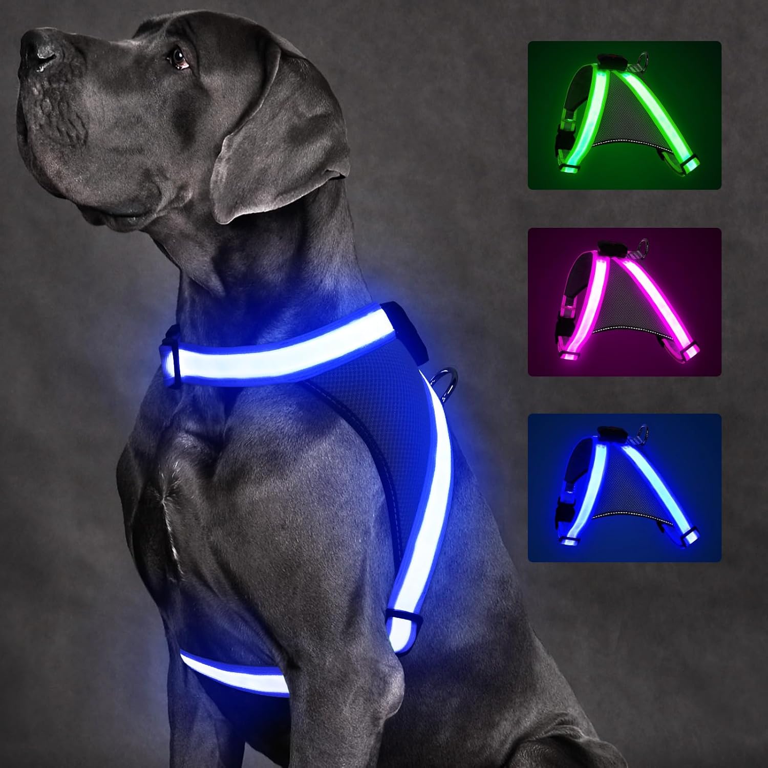 Light up Dog Harness, No Pull Led Dog Harness Glow-In-The-Dark for Night Walking, USB Rechargeable Lighted Safety Vest for Small Dogs, Adjustable Soft Mesh Fully Illuminated (Green, Small)