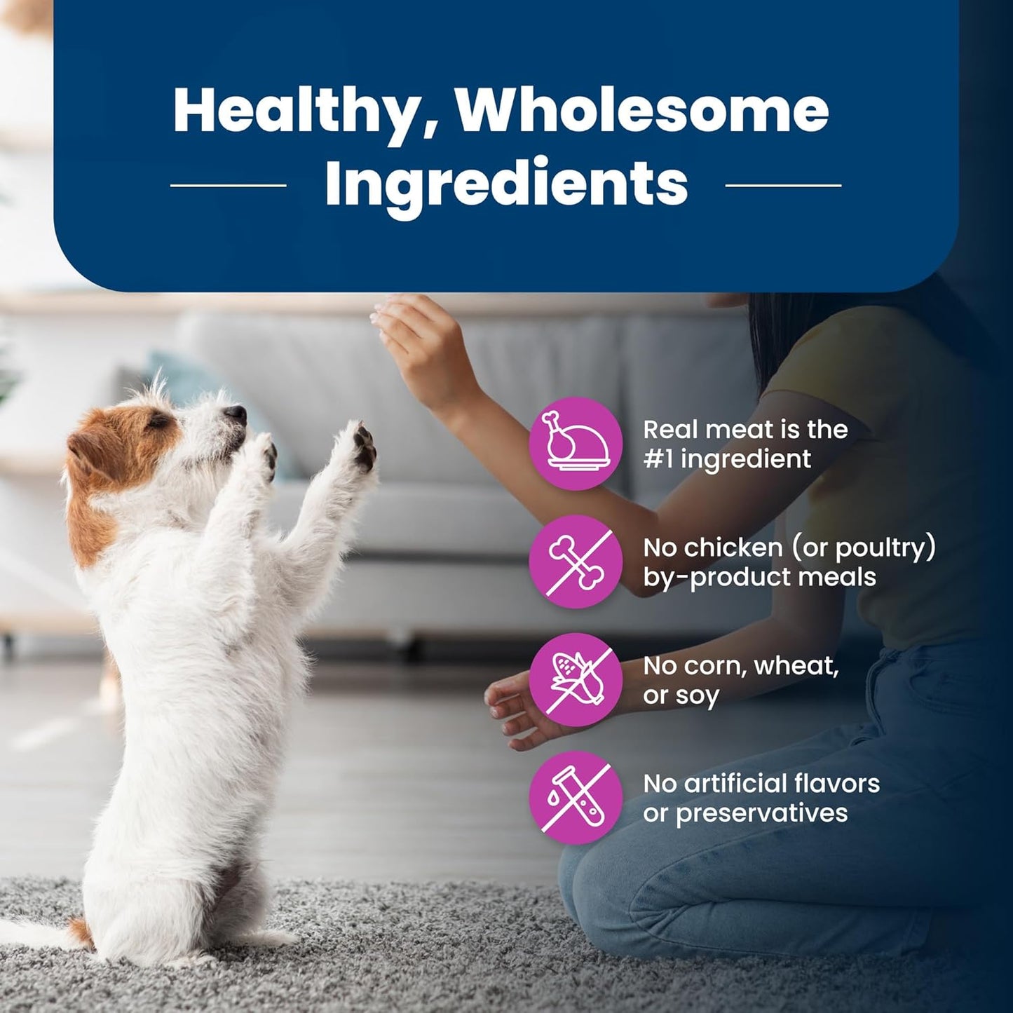 Life Protection Formula Small Breed Senior Dry Dog Food, Supports Joint Health and Immunity, Made with Natural Ingredients, Chicken & Brown Rice Recipe, 15-Lb. Bag