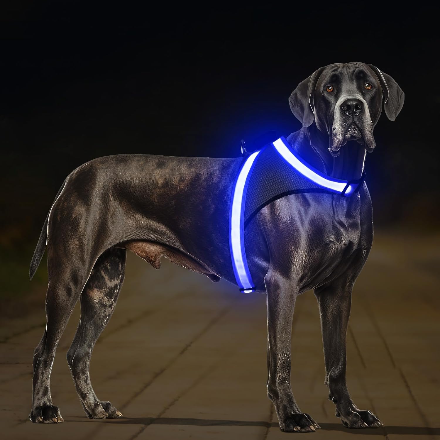 Light up Dog Harness, No Pull Led Dog Harness Glow-In-The-Dark for Night Walking, USB Rechargeable Lighted Safety Vest for Small Dogs, Adjustable Soft Mesh Fully Illuminated (Green, Small)