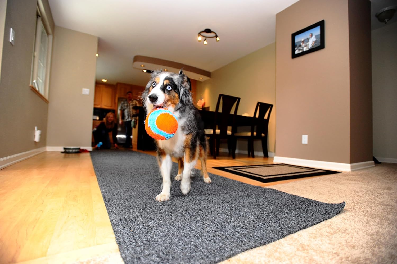 Indoor Fetch Ball Dog Toy for Dogs - Interactive Dog Toys for Boredom, 4.75 Inch, Orange and Blue