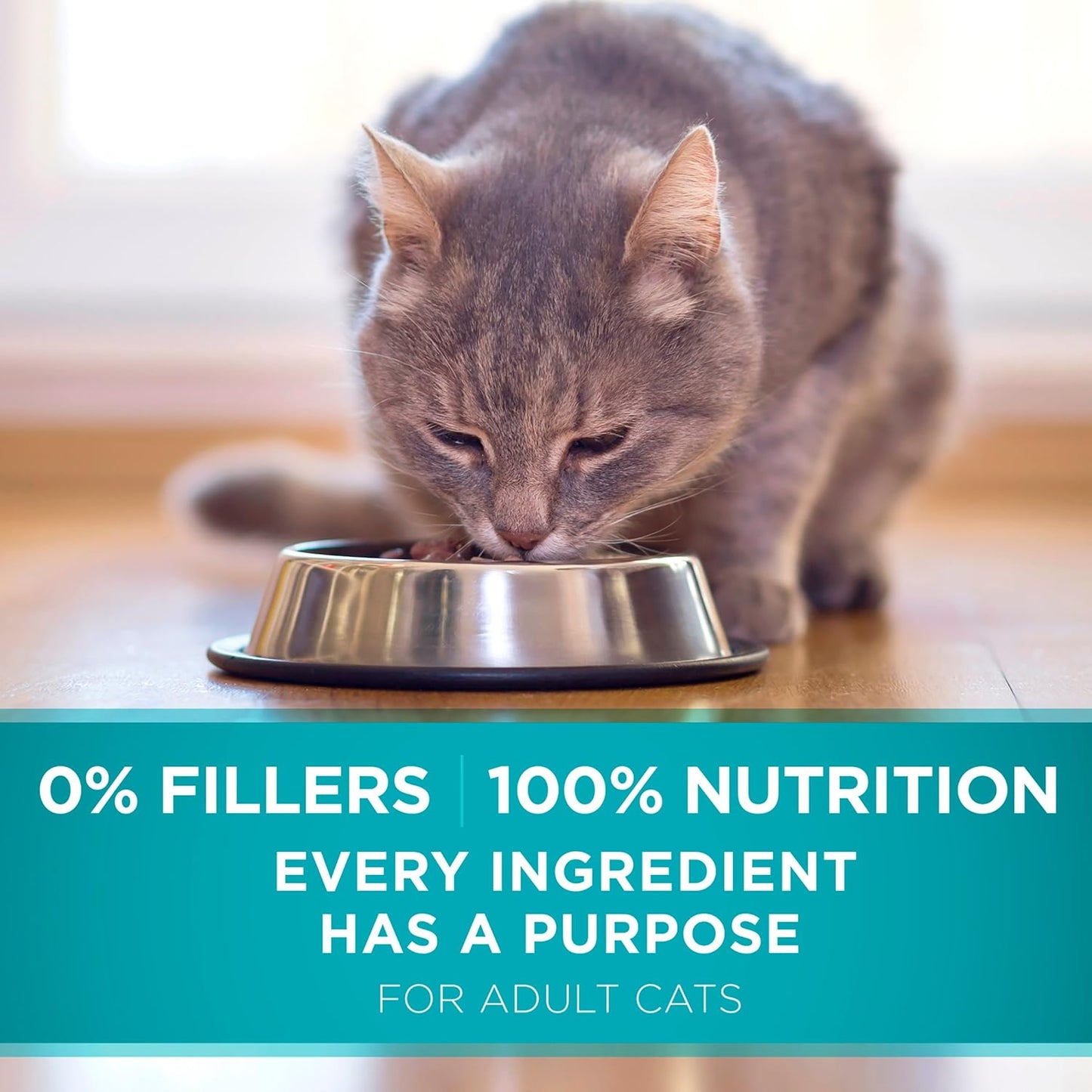 Natural Dry Cat Food, Tender Selects Blend with Real Salmon - 16 Lb. Bag