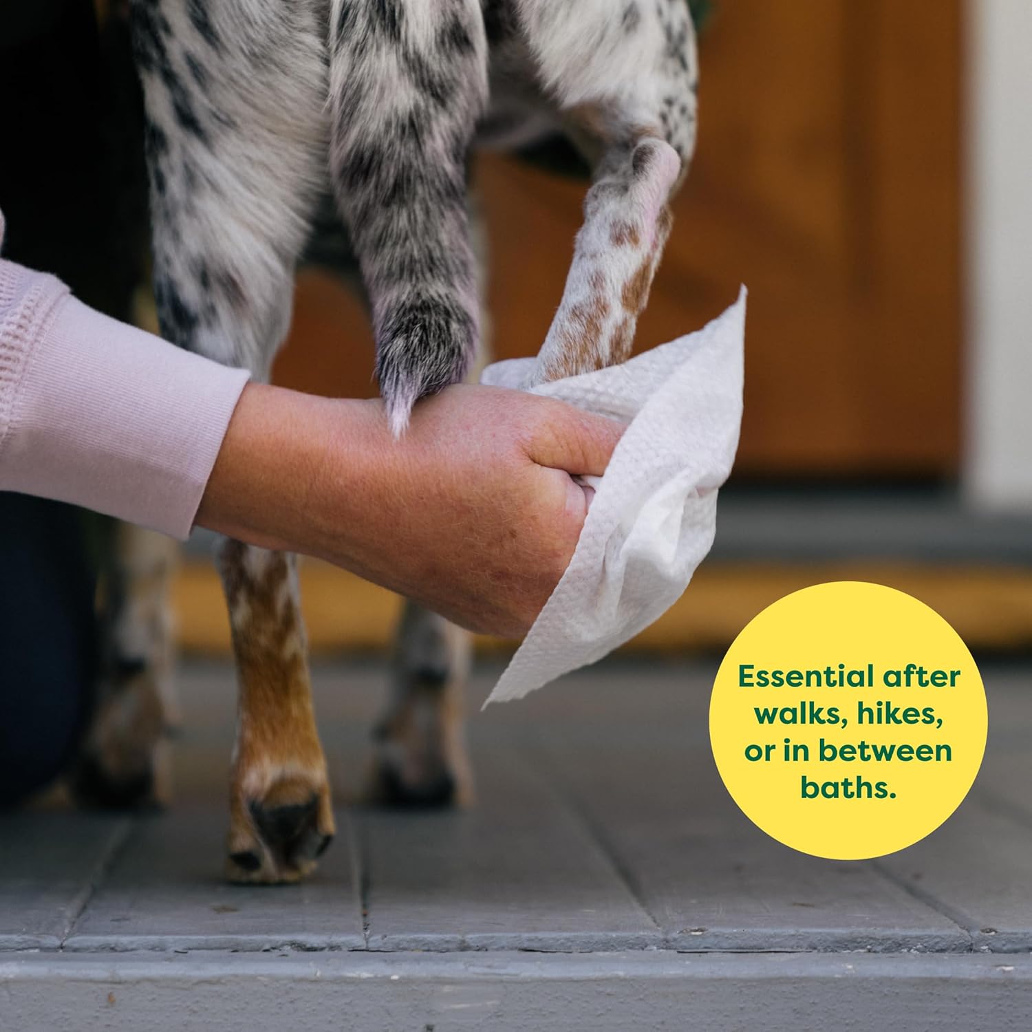 Dog Wipes, Hypoallergenic, Cleaning and Hydrating, for Grooming Paws, Body and Butt, Lavender Scented, 100 Count