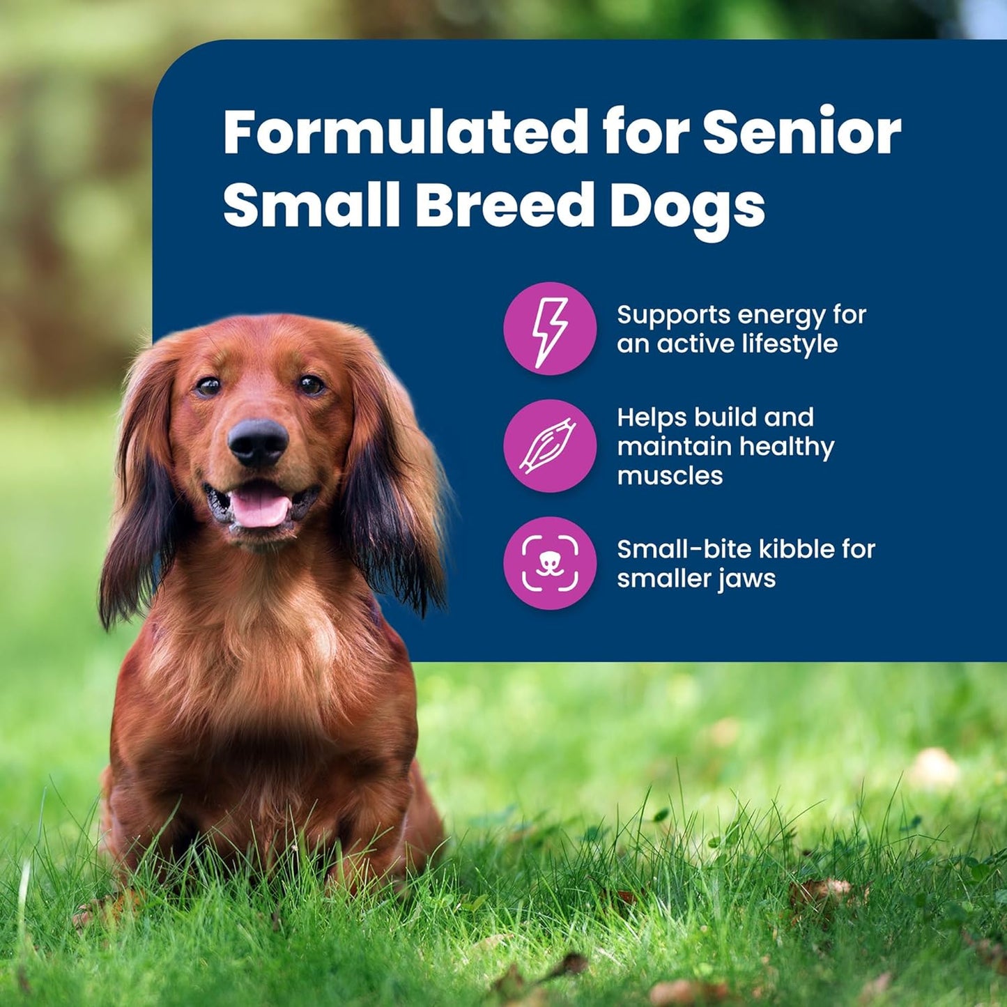 Life Protection Formula Small Breed Senior Dry Dog Food, Supports Joint Health and Immunity, Made with Natural Ingredients, Chicken & Brown Rice Recipe, 15-Lb. Bag