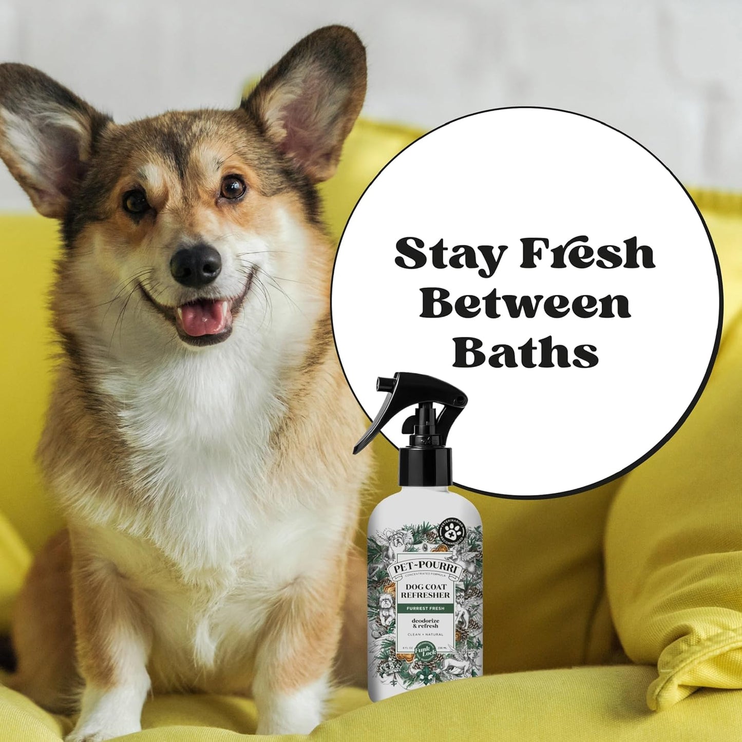 Furrest Fresh Dog Deodorizing Spray, 8 Fl Oz Grooming Perfume for Dog Coat, Pet Odor Neutralizer with Essential Oils, Vet Recommended, Paraben & Sulfate-Free Fir, Amber, & Cedarwood Scent