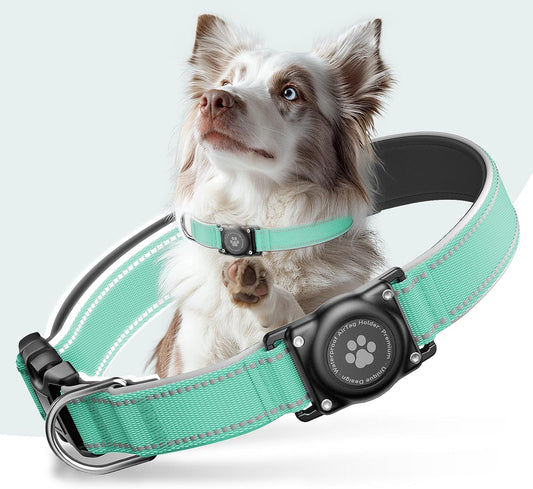 Airtag Dog Collar - 100% Waterproof Air Tag Dog Collar Holder for Apple Airtag, Reflective, Soft Padded, Everlasting, GPS Dog Collar for Small Medium Large Dogs (Teal, L)