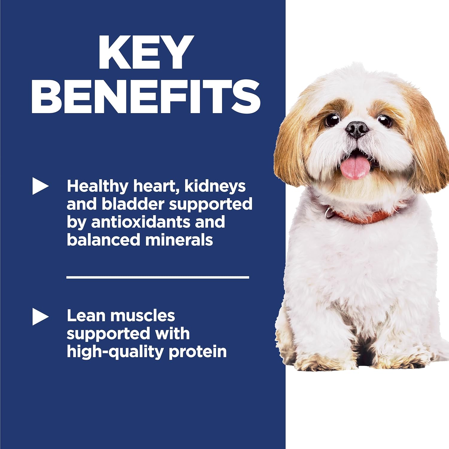 Adult 7+, Senior Adult 7+ Premium Nutrition, Small Kibble, Dry Dog Food, Chicken, Brown Rice, & Barley, 15 Lb Bag