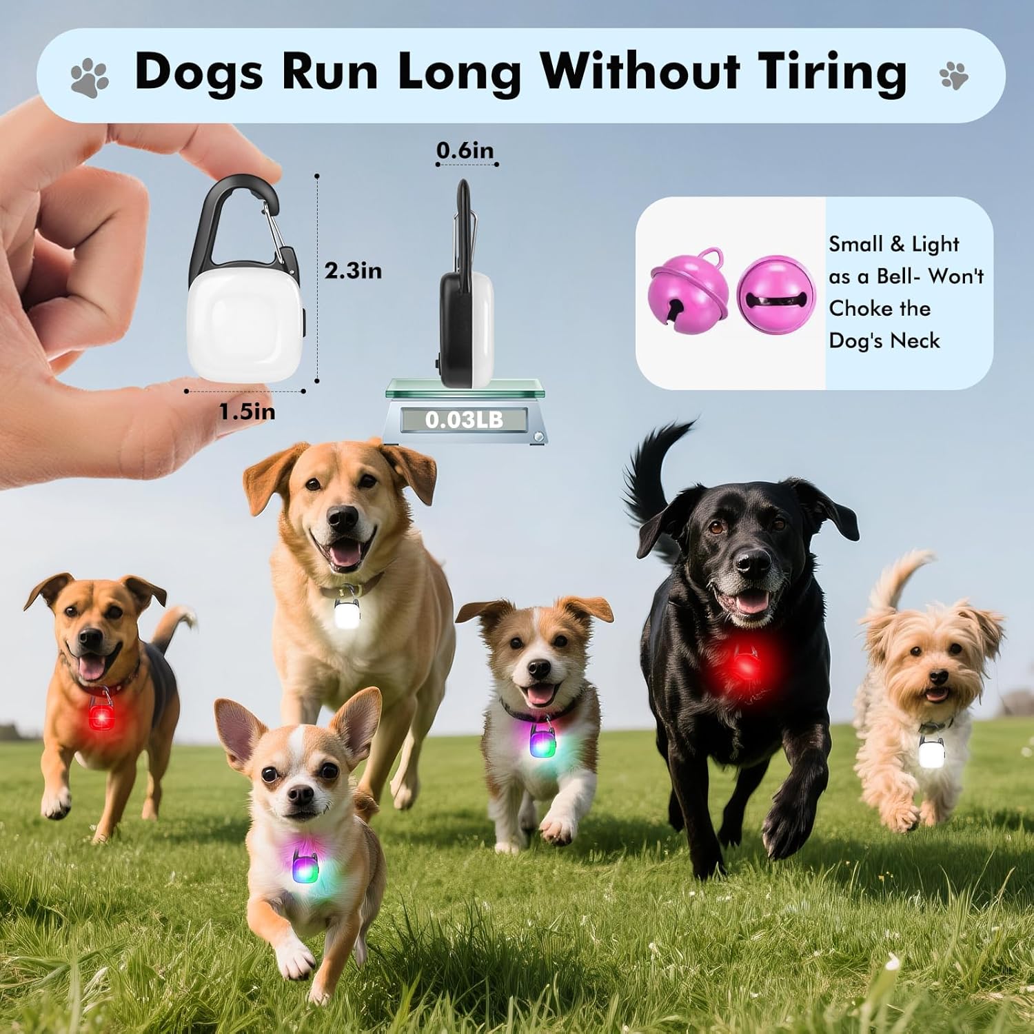 2 Pack LED Rechargeable Safety Dog Collar Light Clip with 4 Modes, Waterproof, Great for Night Walking