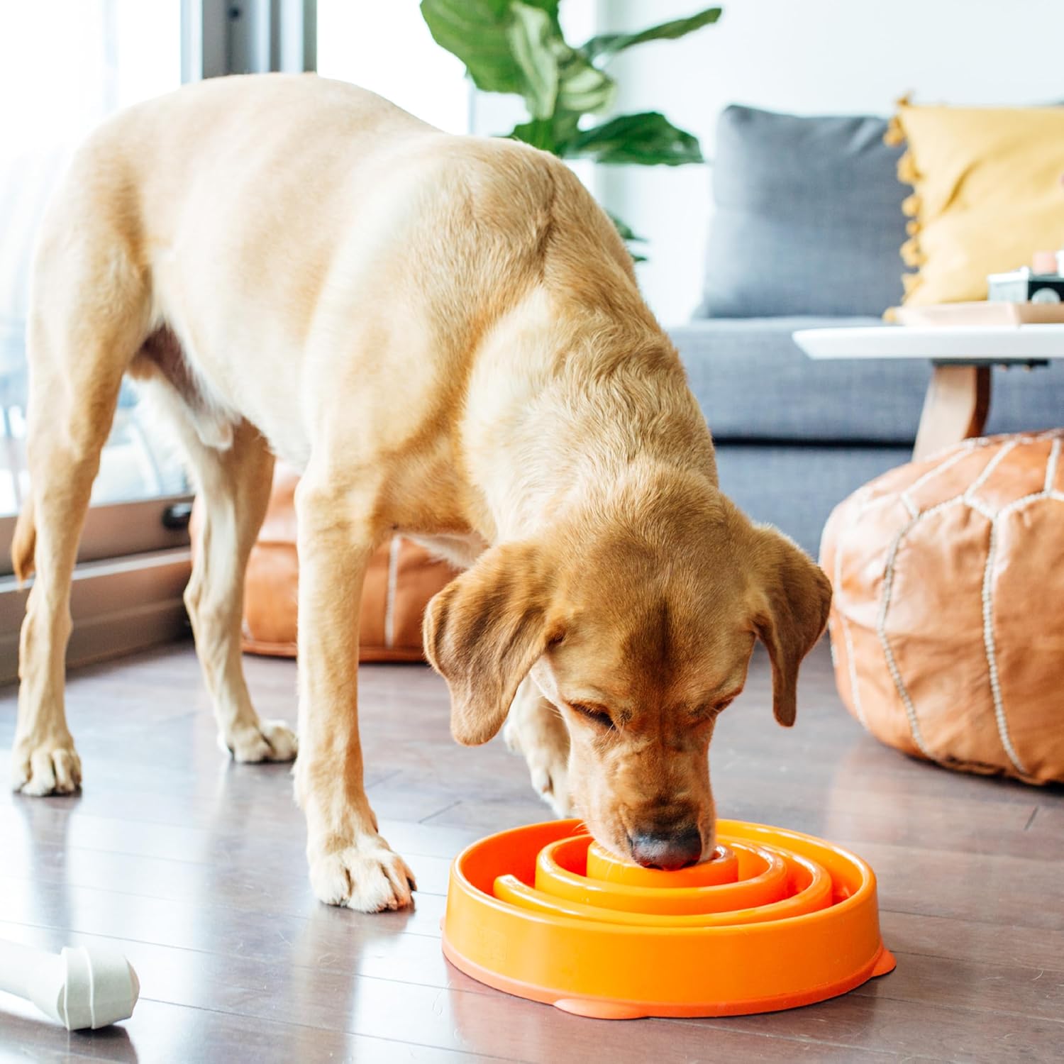 Large Slow Feeder Bowl, Puzzle Maze for Fast Eaters, Medium to Large Dogs, Helps Prevent Bloat & Aid Digestion, Holds 4 Cups Wet or Dry Food, Non-Slip, Made without BPA, Orange