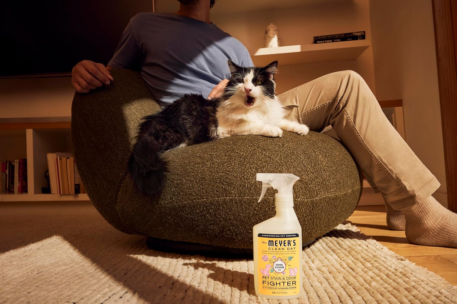 CLEAN DAY Pet Stain & Odor Fighter, Orange Blossom Scent, 16Oz