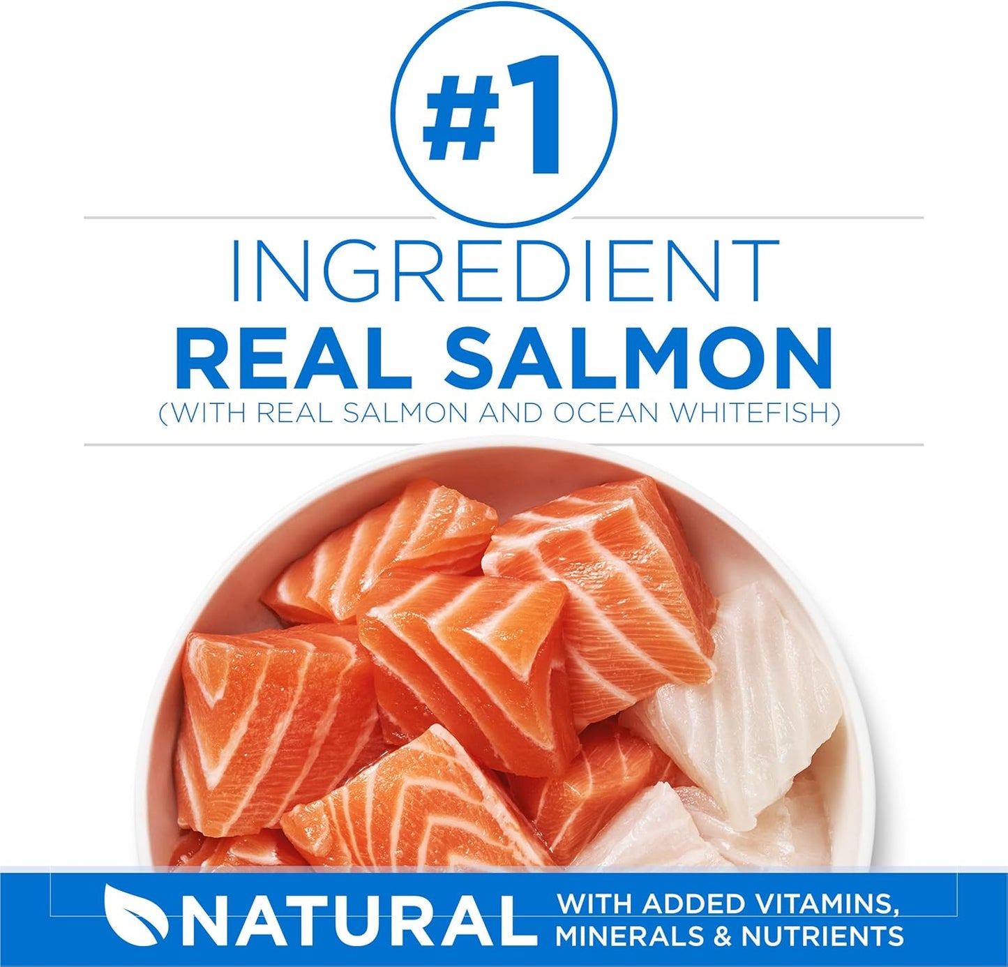 plus High Protein Cat Food Dry Salmon and Ocean Whitefish Cat Skin and Coat Health Formula - 16 Lb. Bag