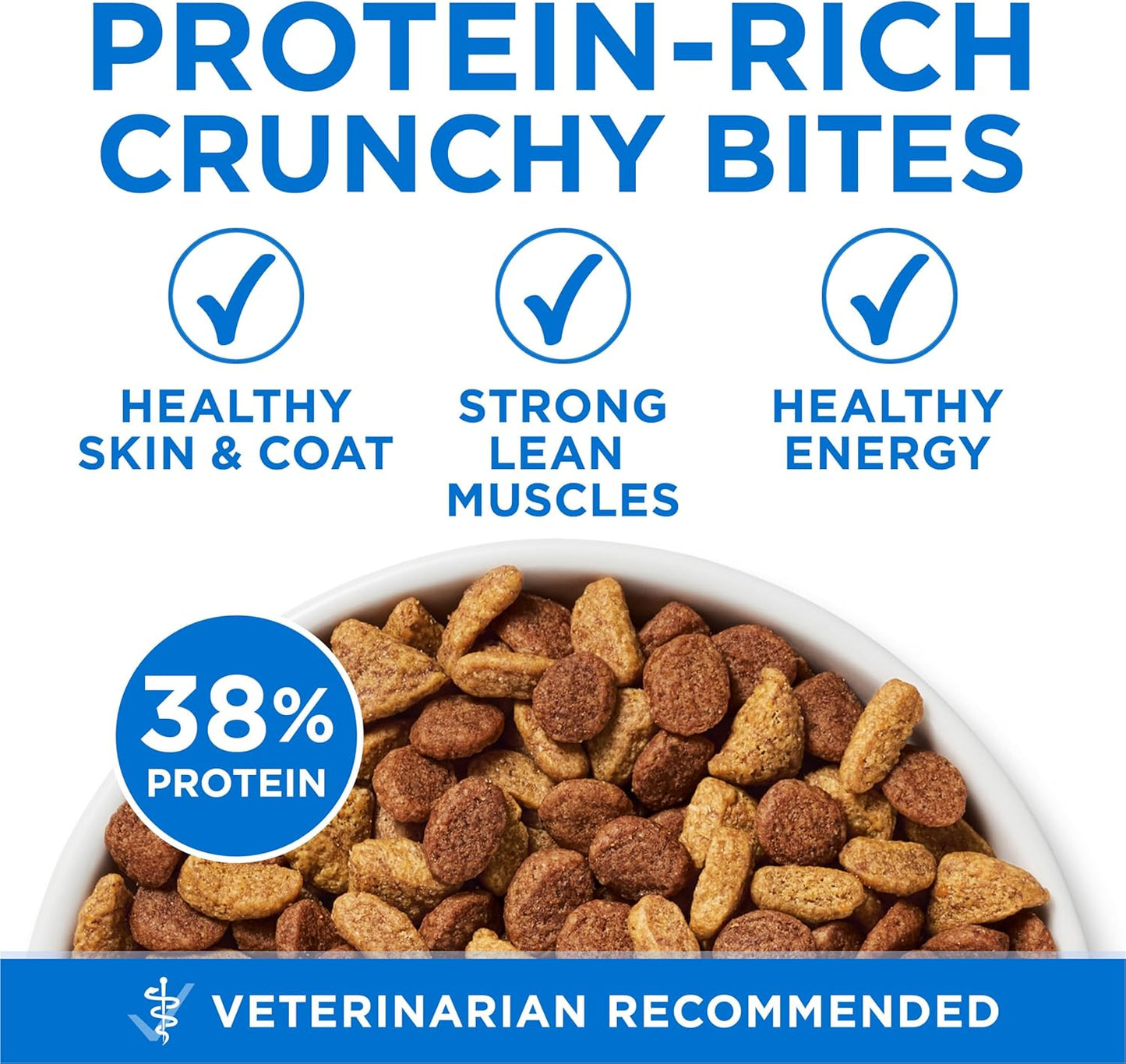 plus High Protein Cat Food Dry Salmon and Ocean Whitefish Cat Skin and Coat Health Formula - 16 Lb. Bag