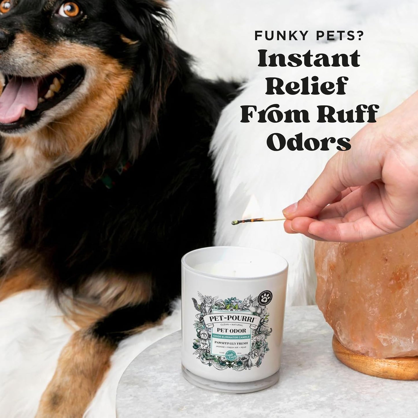 Pet-Pourri Pawsitively Fresh Pet Odor Deodorizer Candle, Burns up to 45 Hours, Aromatherapy & Air Freshener with Essential Oils, Plant Based Ingredients & Wax, Vet Approved, Jasmine Pear Scent