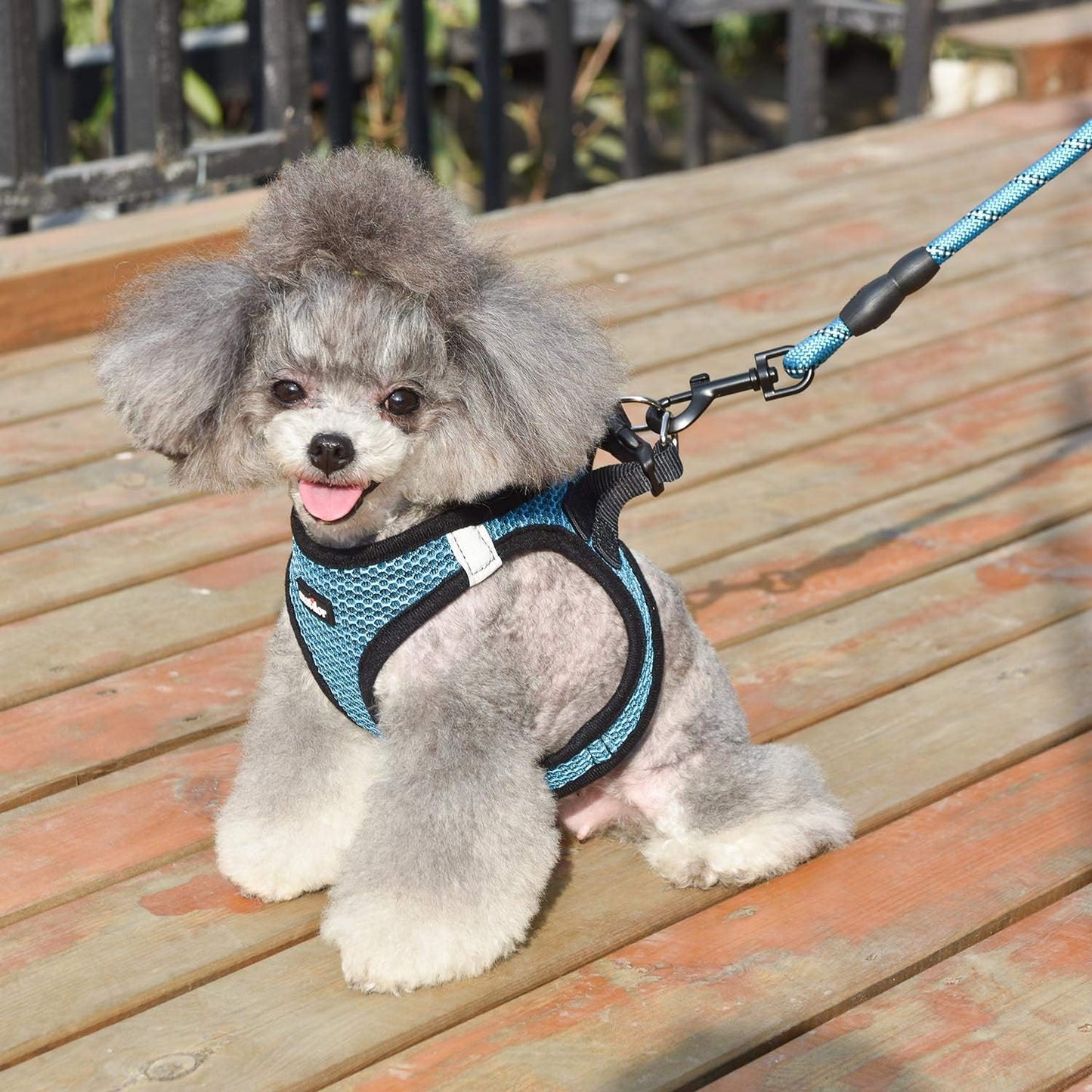 Dog Harness Step-In Breathable Puppy Cat Vest, X-Large, Blue