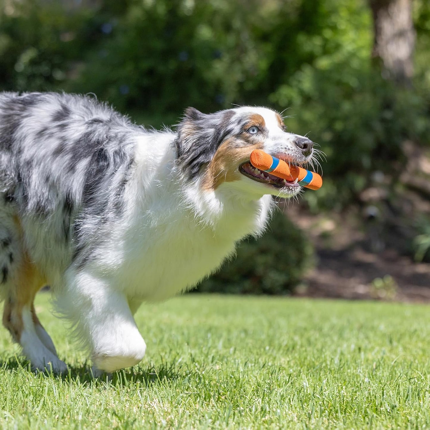 Interactive Dog Toy Ultra Fetch Stick Day & Night Bundle, 12 Inches, Outdoor, Pack of 2