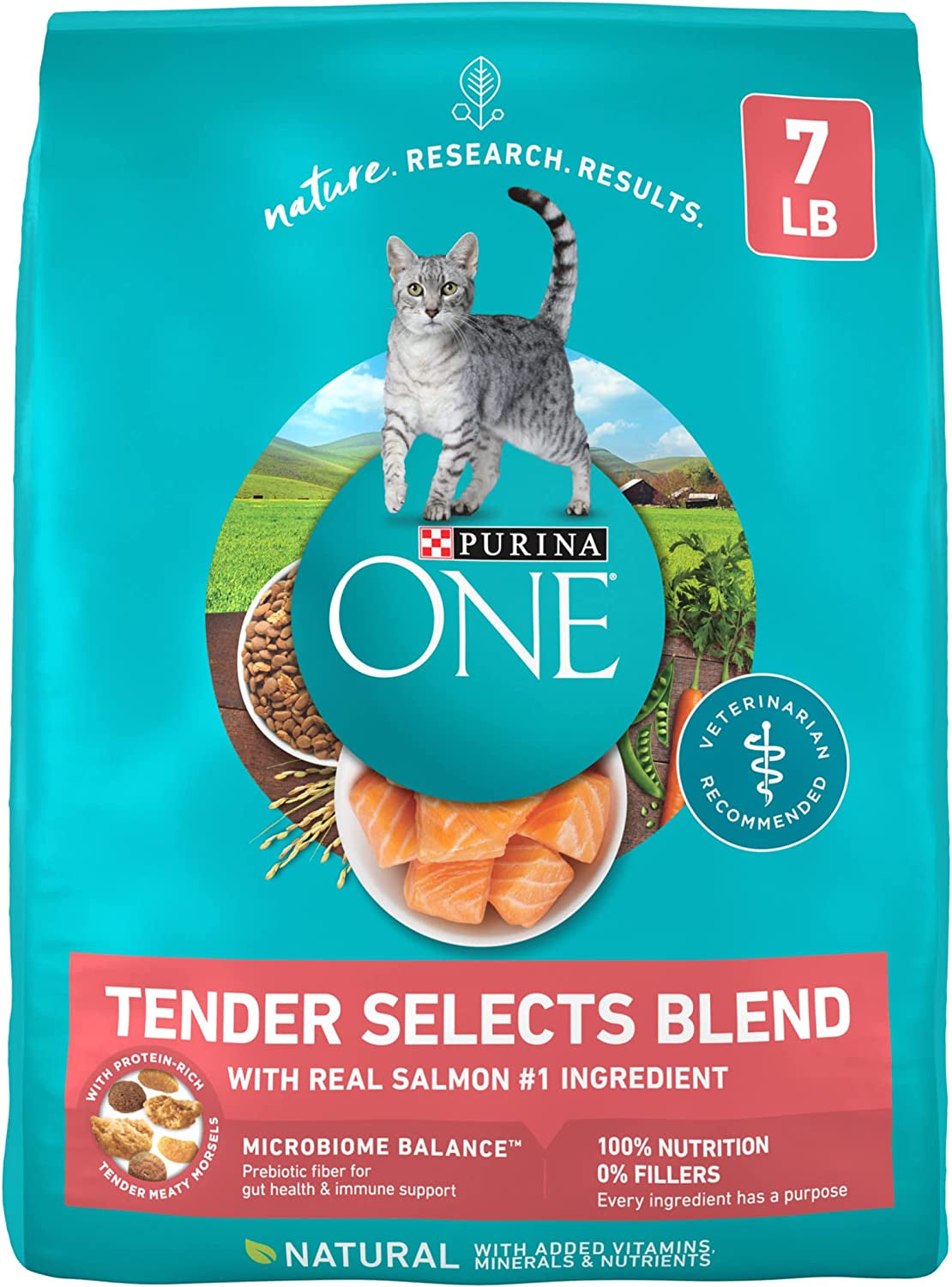 Purina ONE Natural Dry Cat Food, Tender Selects Blend with Real Salmon