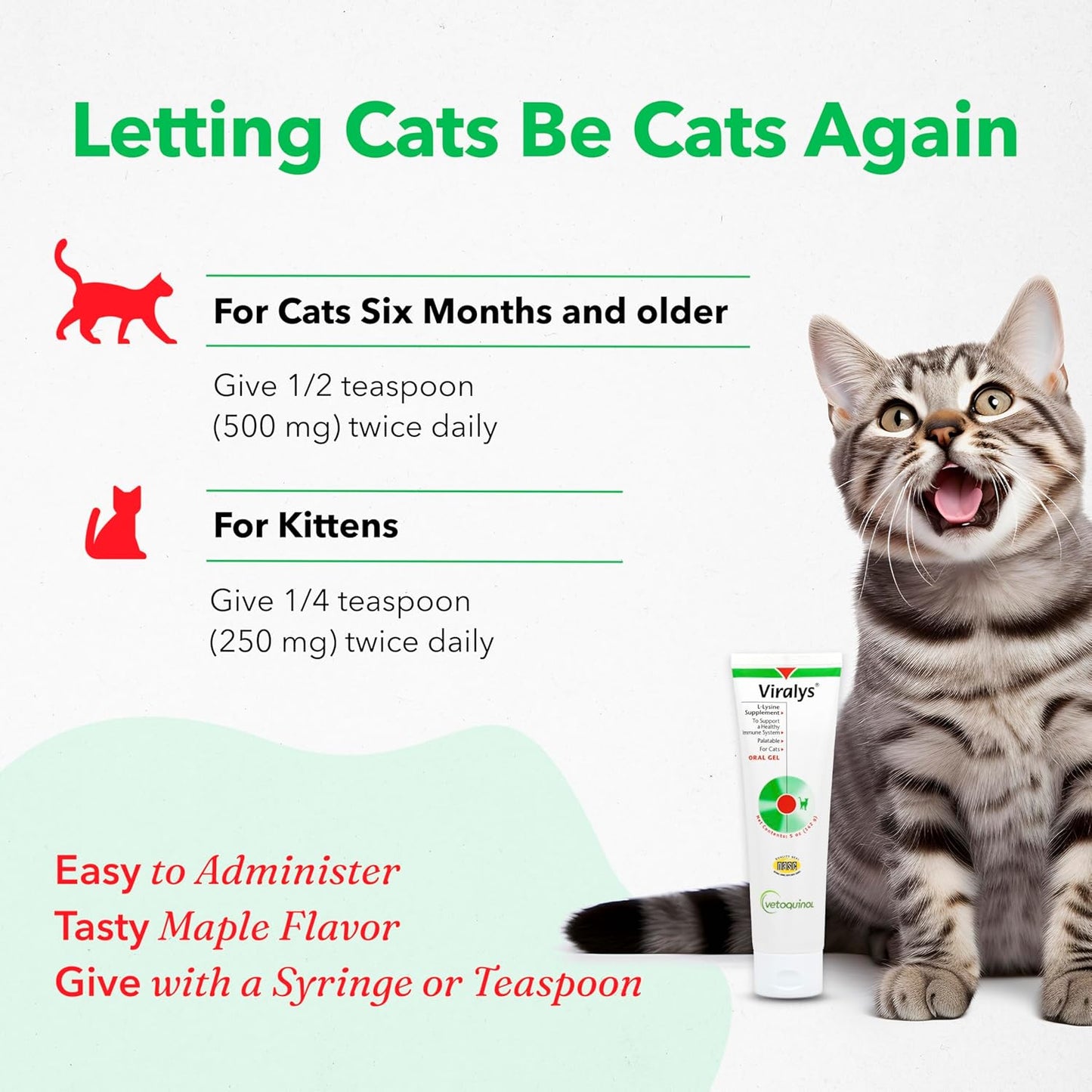 Viralys Daily L-Lysine Gel for Cats and Kittens, Maple Flavored Lysine Supplement for Cats and Kittens to Support Immune Health, Normal Eye Function and Respiratory Health, 5Oz