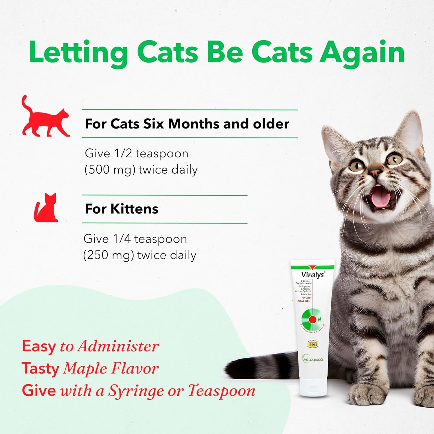 Viralys Daily L-Lysine Gel for Cats and Kittens, Maple Flavored Lysine Supplement for Cats and Kittens to Support Immune Health, Normal Eye Function and Respiratory Health, 5Oz