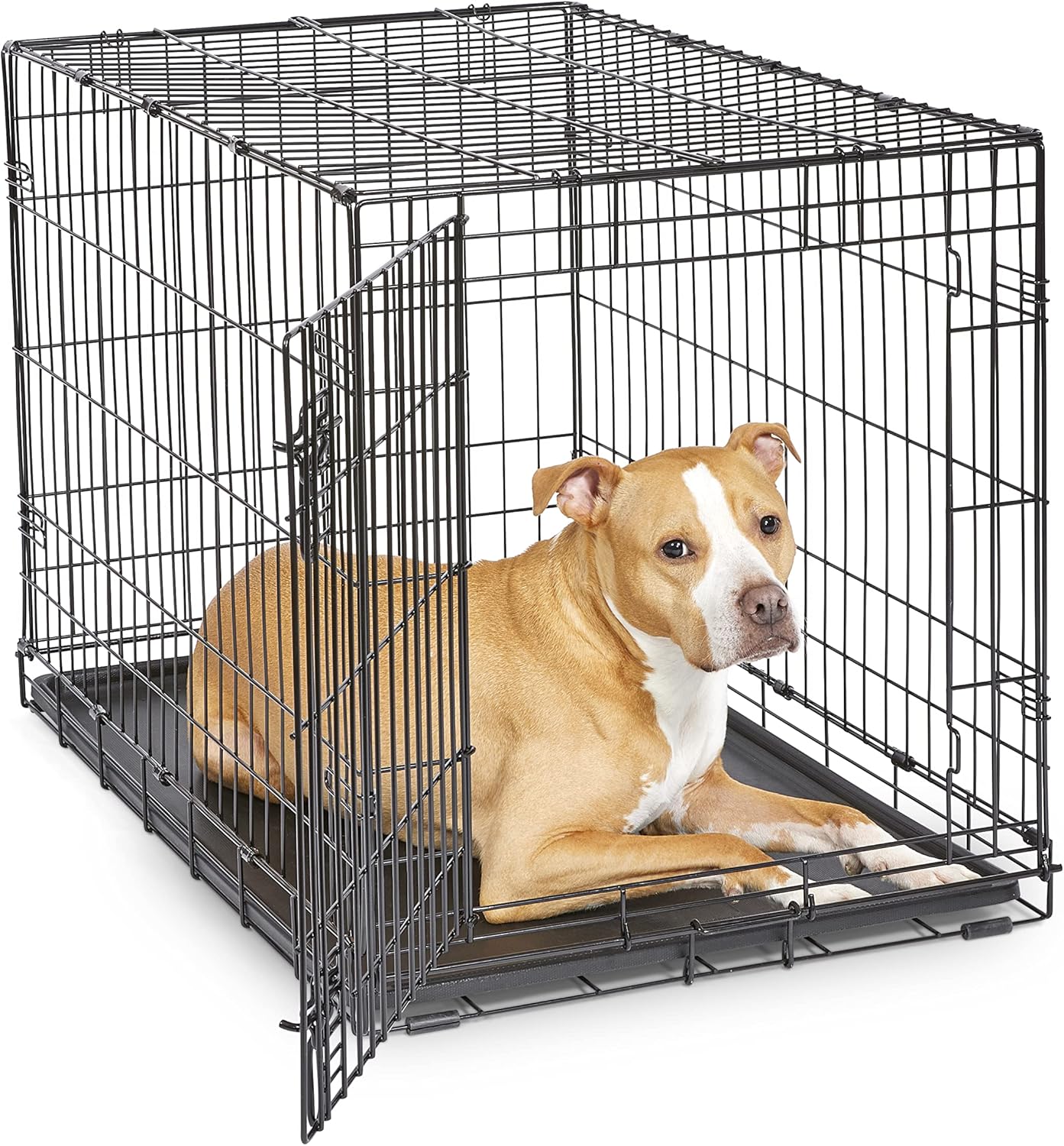 Single Door Folding Metal 36-Inch Dog Crate, Enhanced Security, Includes Leak-Proof Pan & Divider Panel, for Medium to Large Sized Breeds