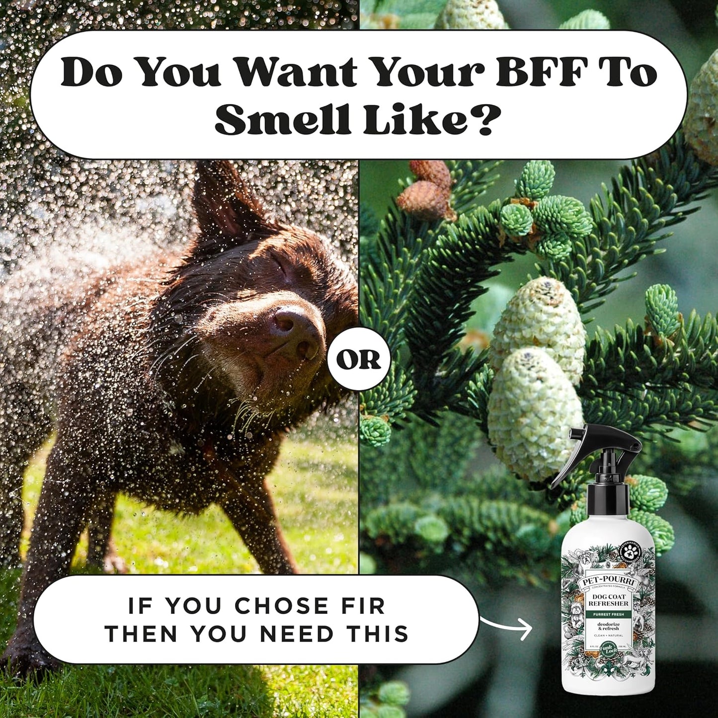Furrest Fresh Dog Deodorizing Spray, 8 Fl Oz Grooming Perfume for Dog Coat, Pet Odor Neutralizer with Essential Oils, Vet Recommended, Paraben & Sulfate-Free Fir, Amber, & Cedarwood Scent