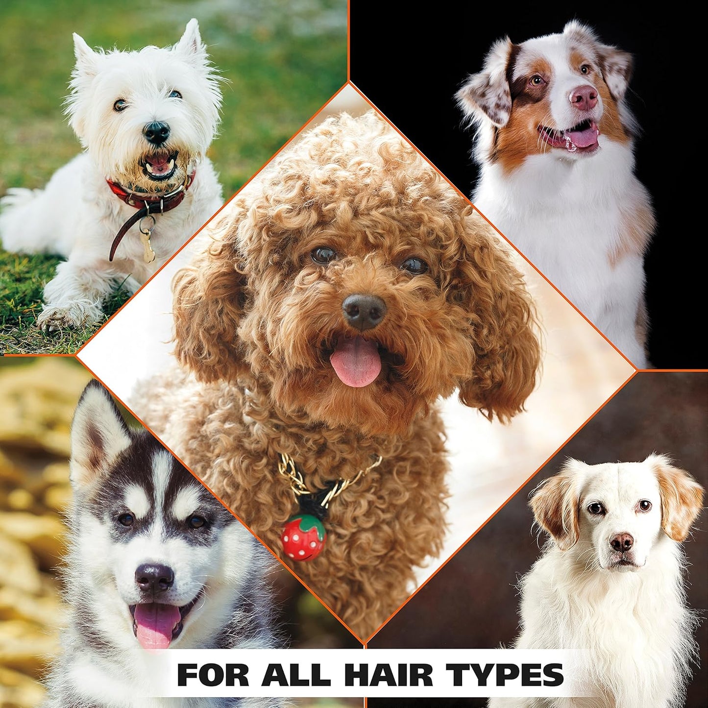 Dry Skin & Itch Relief Pet Shampoo for Dogs – Oatmeal Formula with Coconut Lime Verbena Scent & Pet Friendly Formula, 24 Oz