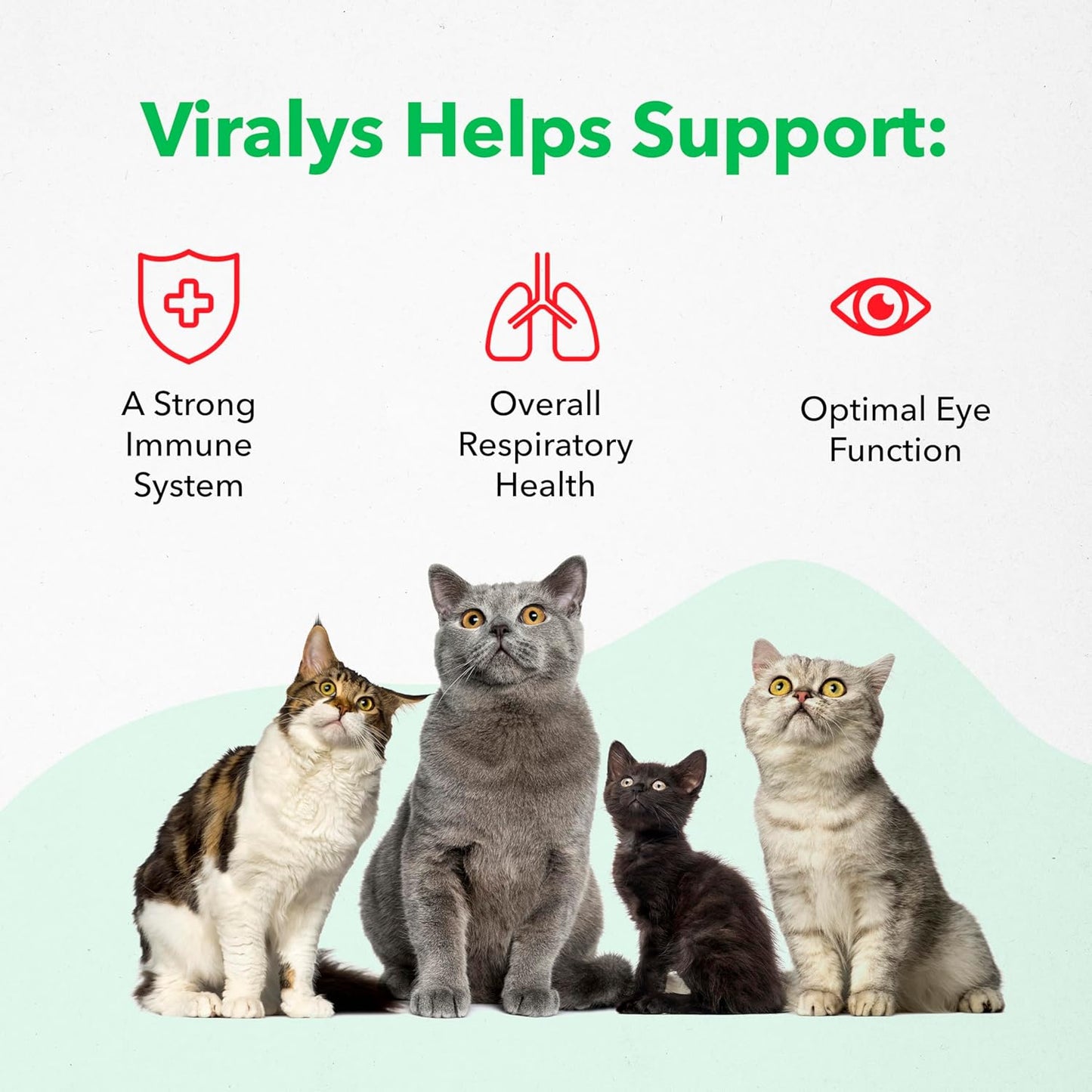 Viralys Daily L-Lysine Gel for Cats and Kittens, Maple Flavored Lysine Supplement for Cats and Kittens to Support Immune Health, Normal Eye Function and Respiratory Health, 5Oz