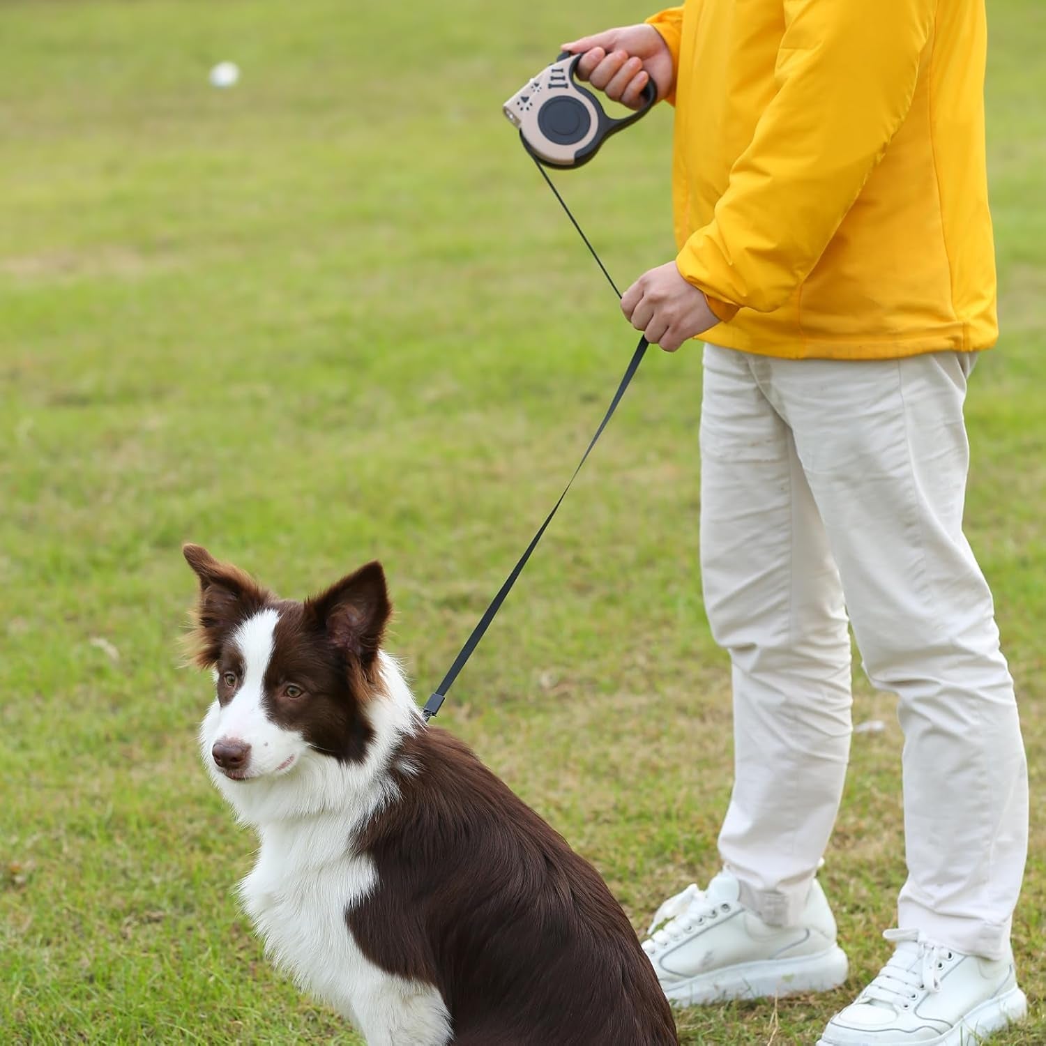 Retractable Dog Leash with USB Rechargeable Flashlight for Night Walks, 16FT Automatic Telescopic Tractor Dog Leash for Small and Medium Dogs, Blue