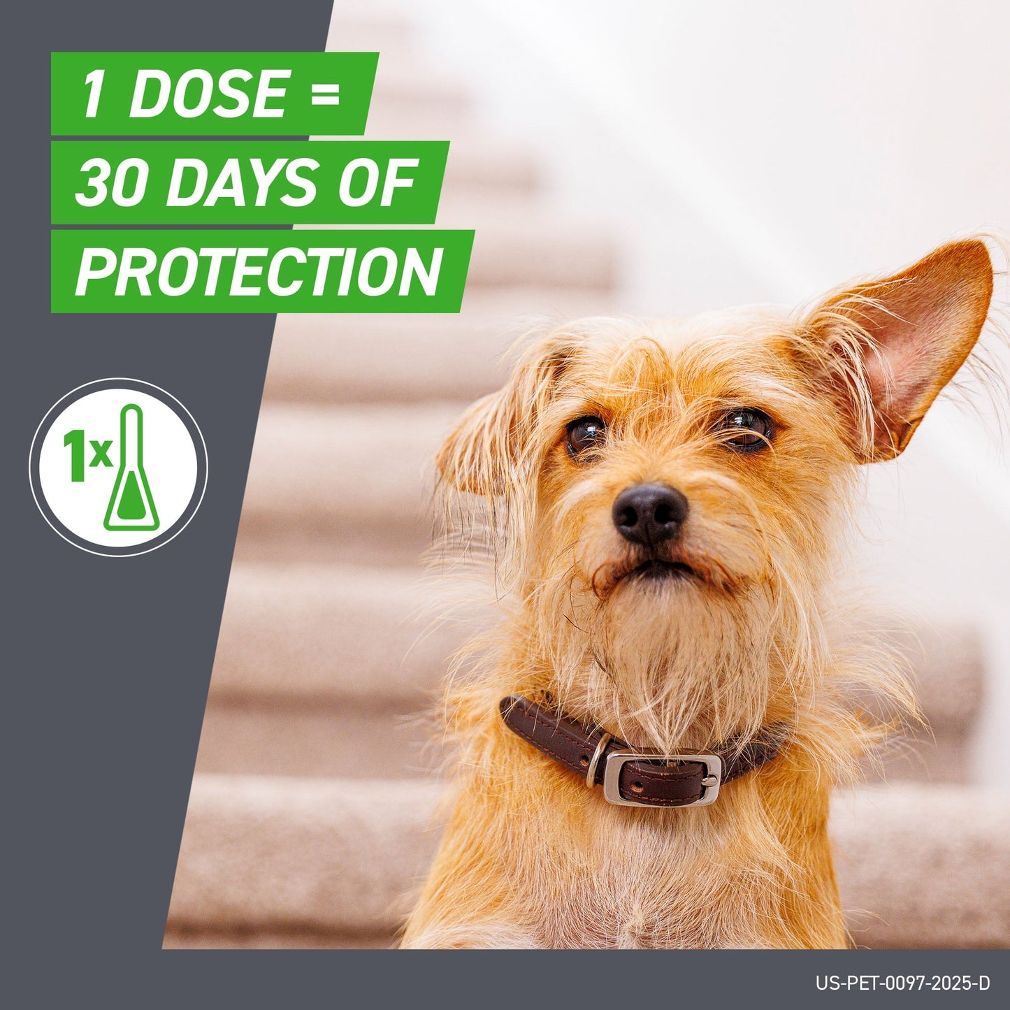 plus for Dogs Flea & Tick Medium Breed Dog Spot Treatment, 23 - 44 Lbs, 3 Count