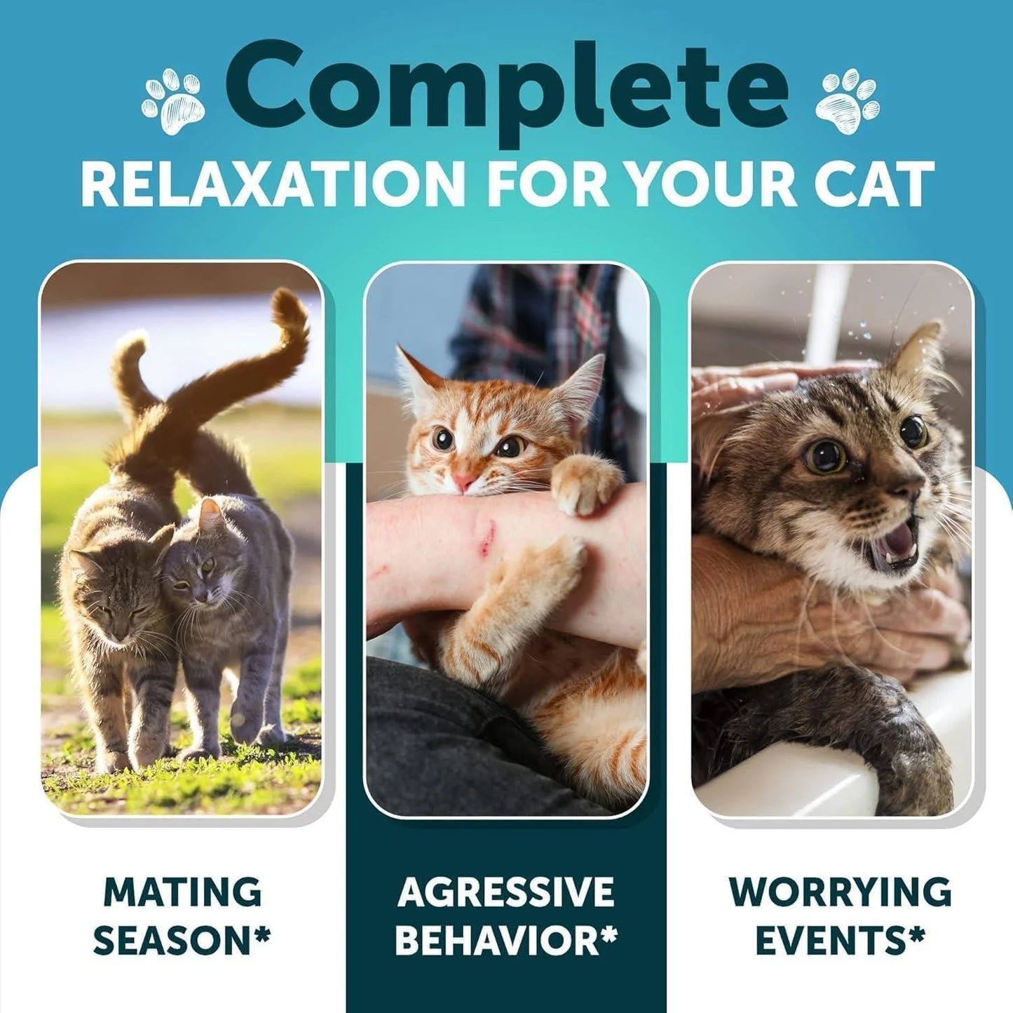 Hemp Cat Calming Treats for Stress & Anxiety Relief Cat & Kittens Melatonin