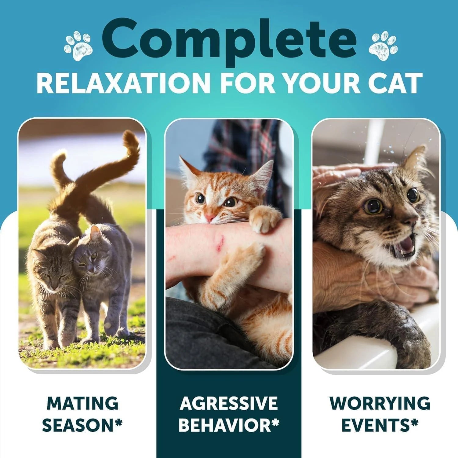 Hemp Cat Calming Treats for Stress & Anxiety Relief Cat & Kittens Melatonin